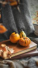 Does pumpkin really nourish the stomach 42