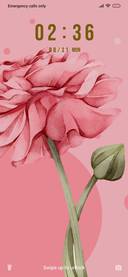 Pink Flower_3MDS