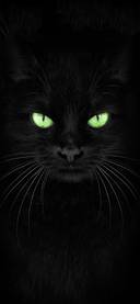 黑色猫咪壁纸-锐景创意