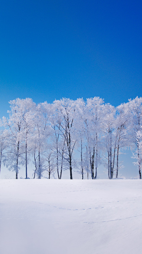 有一种雪叫北海道miui Wallpaper And Tutorial Mtzfile