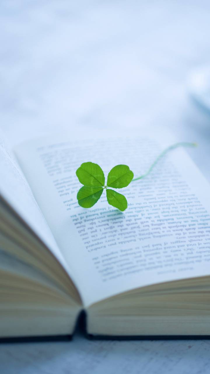 幸运四叶草miui Wallpaper And Tutorial Mtzfile