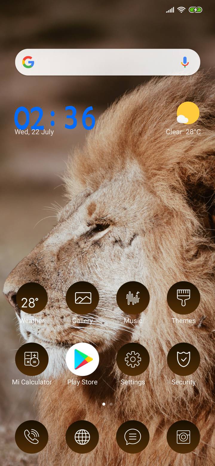 Lion 3mds Miui Theme And Tutorial Mtzfile