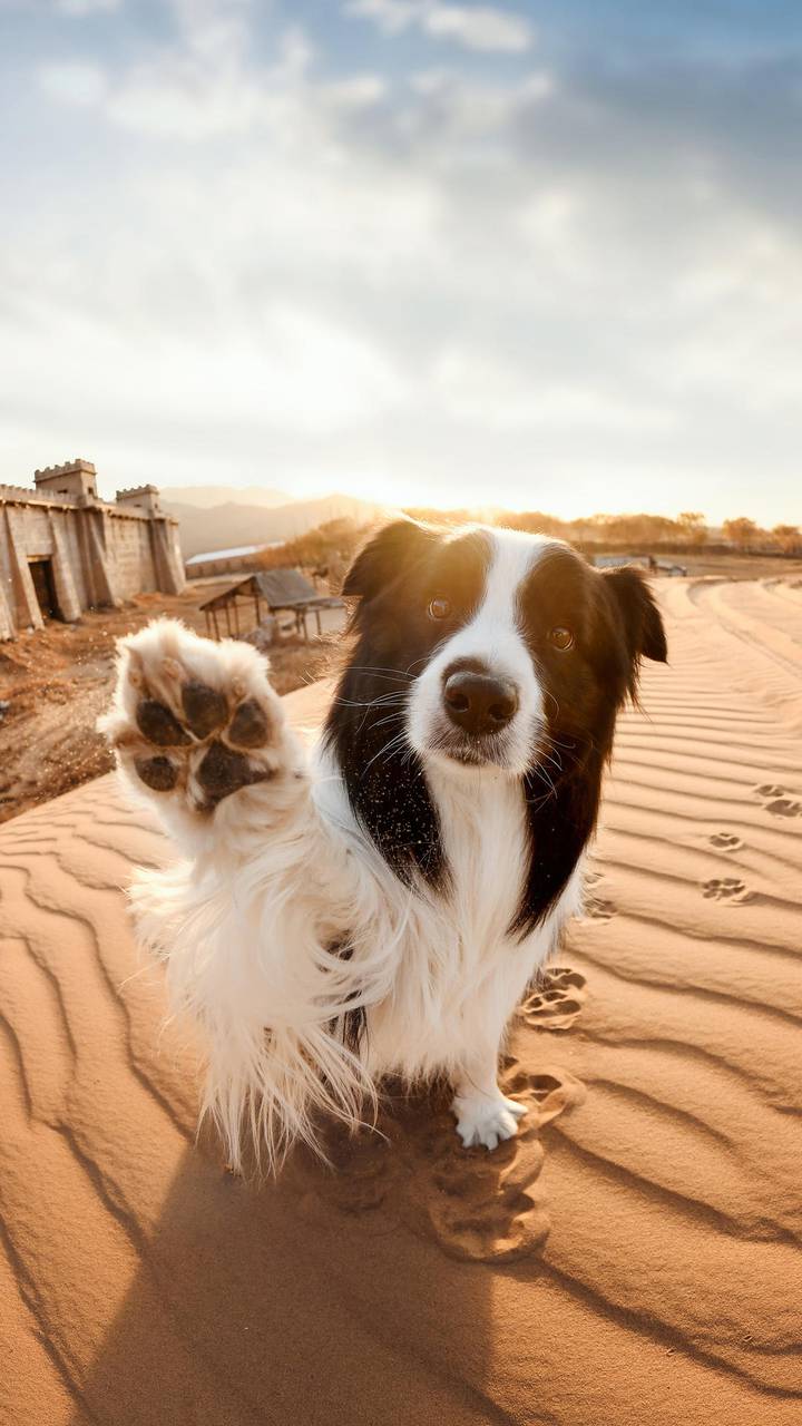 不让父母成为留守老人miui Wallpaper And Tutorial Mtzfile