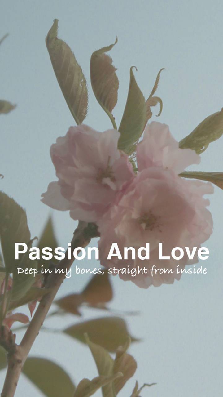 复古花文字 3 Miui Wallpaper And Tutorial Mtzfile