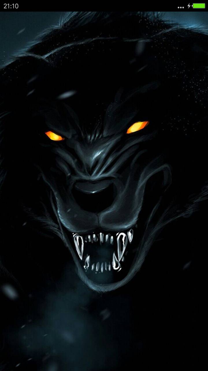 恶狼 全图标 自由桌面 Miui Live Wallpaper And Tutorial Mtzfile