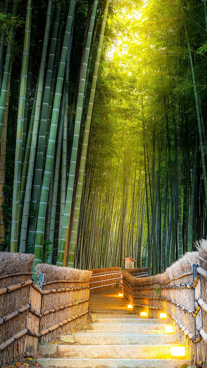 慢行京都miui Wallpaper And Tutorial Mtzfile