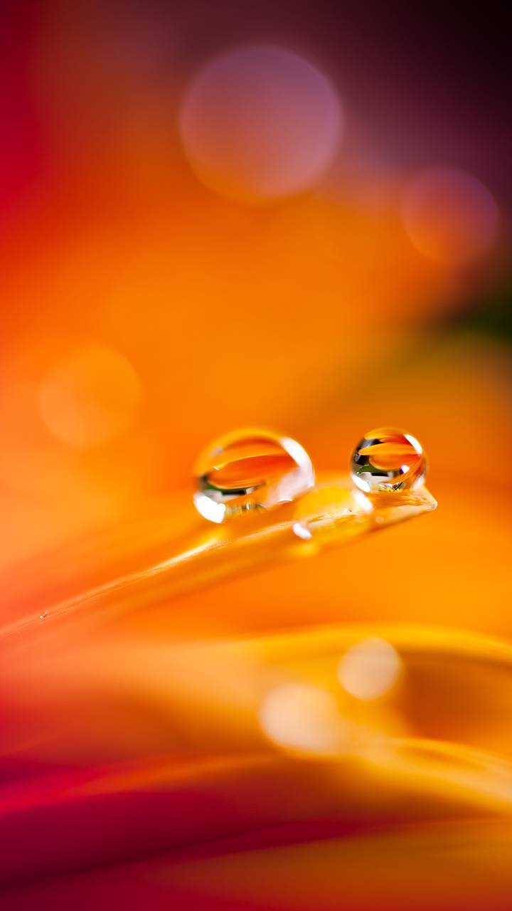 水滴 视觉中国miui Wallpaper And Tutorial Mtzfile