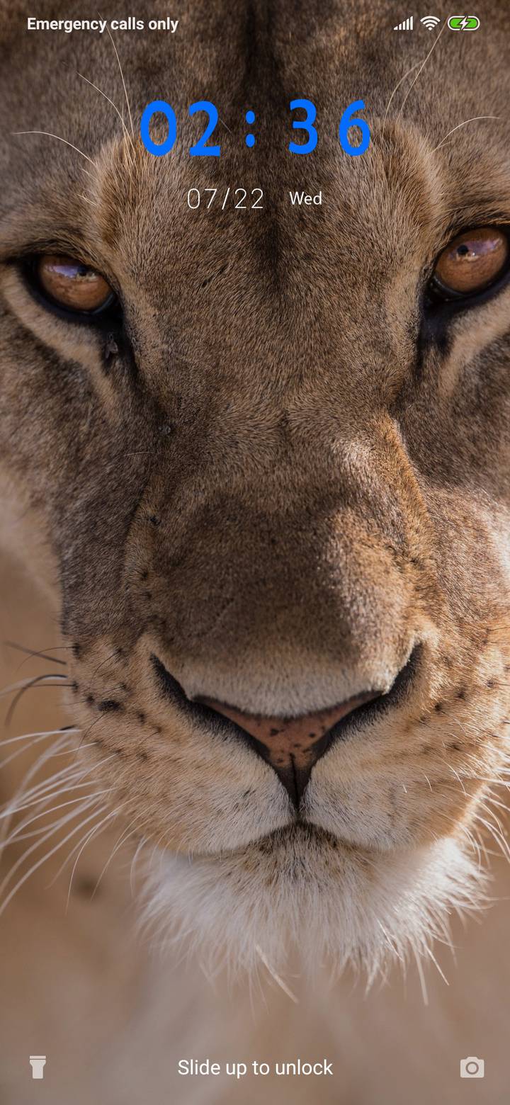 Lion 3mds Miui Theme And Tutorial Mtzfile