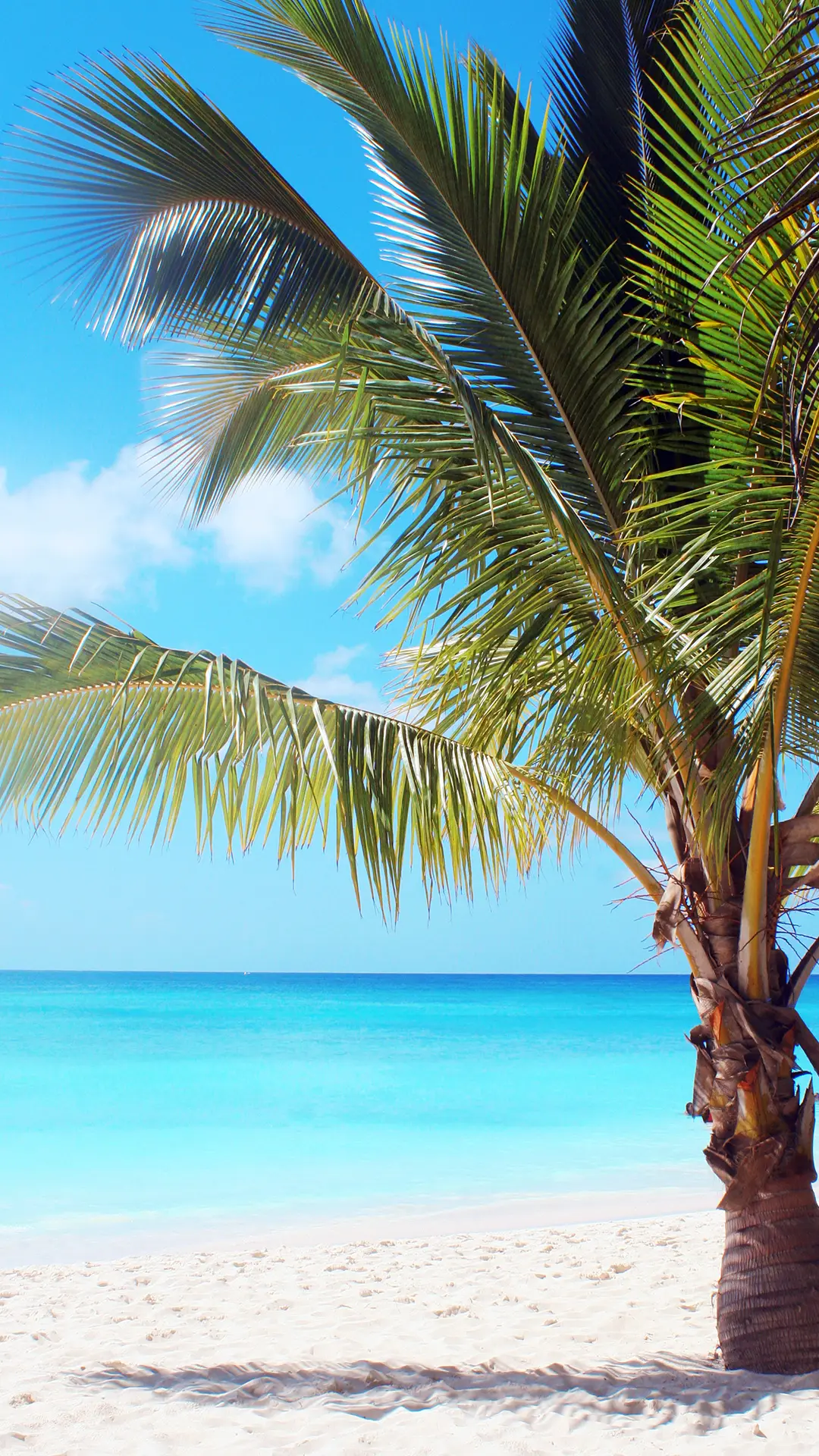 海滩度假-锐景创意 - Screenshot 1