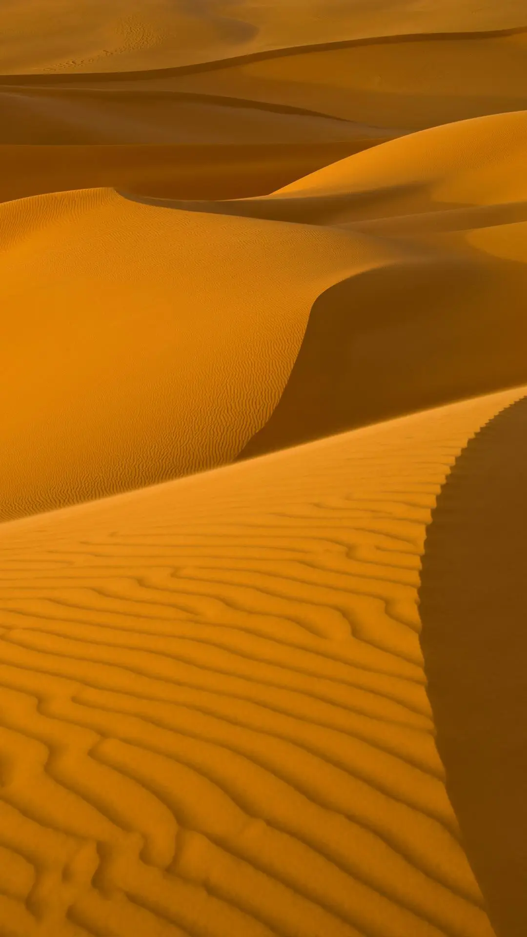 金色世界 - Screenshot 1