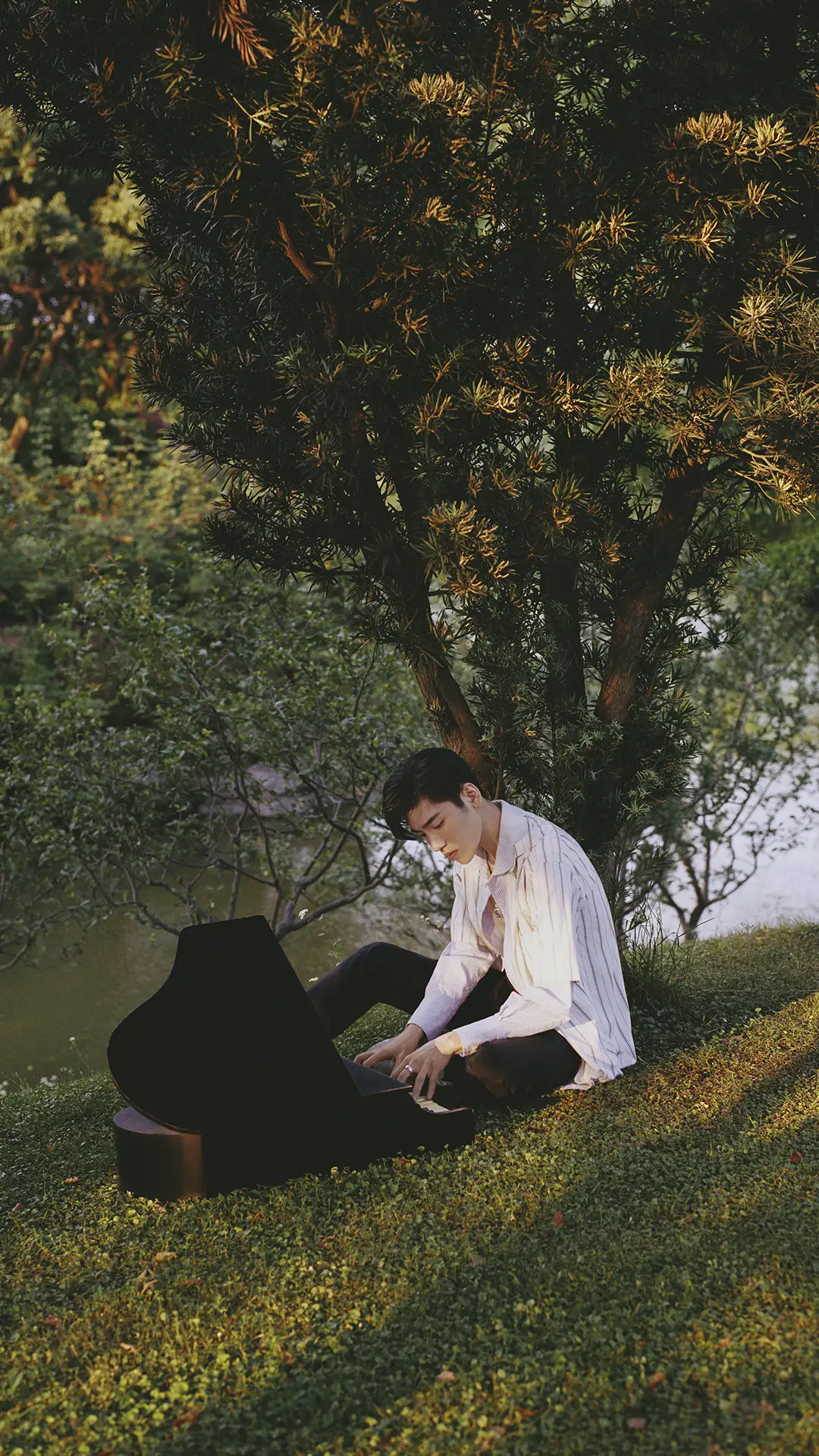 王子异 肆意增长