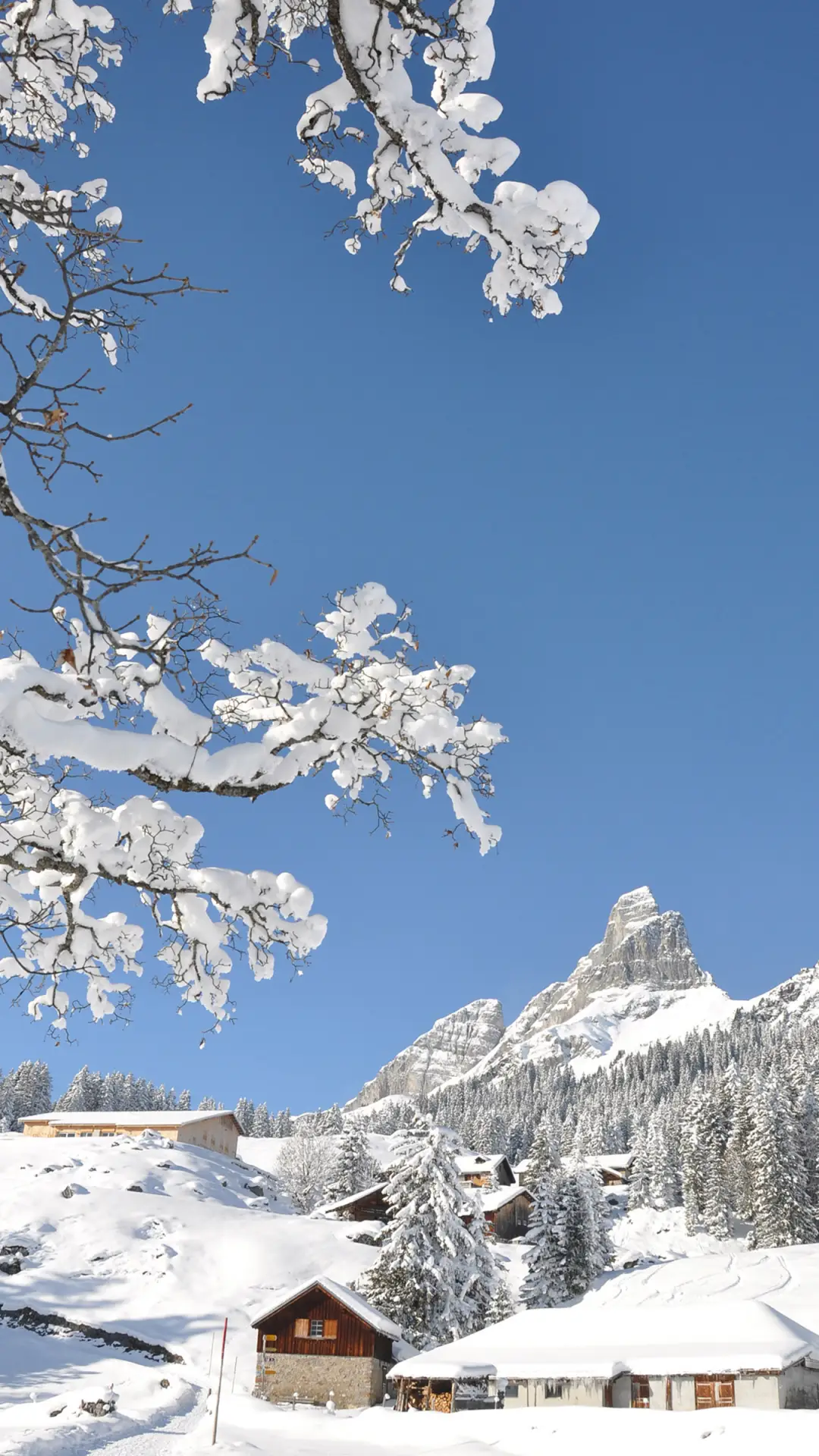 冬日风光-拍信图库 - Screenshot 1