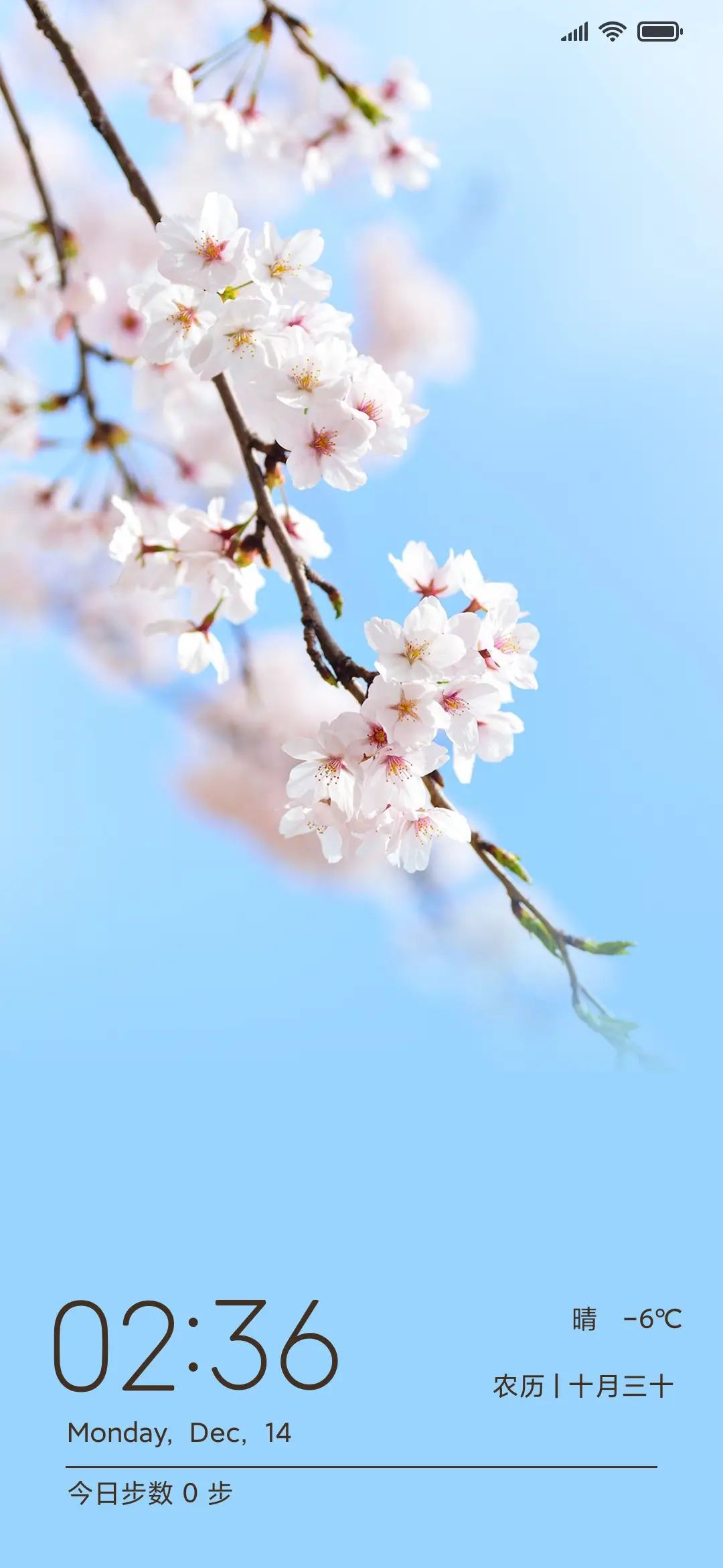 樱花季