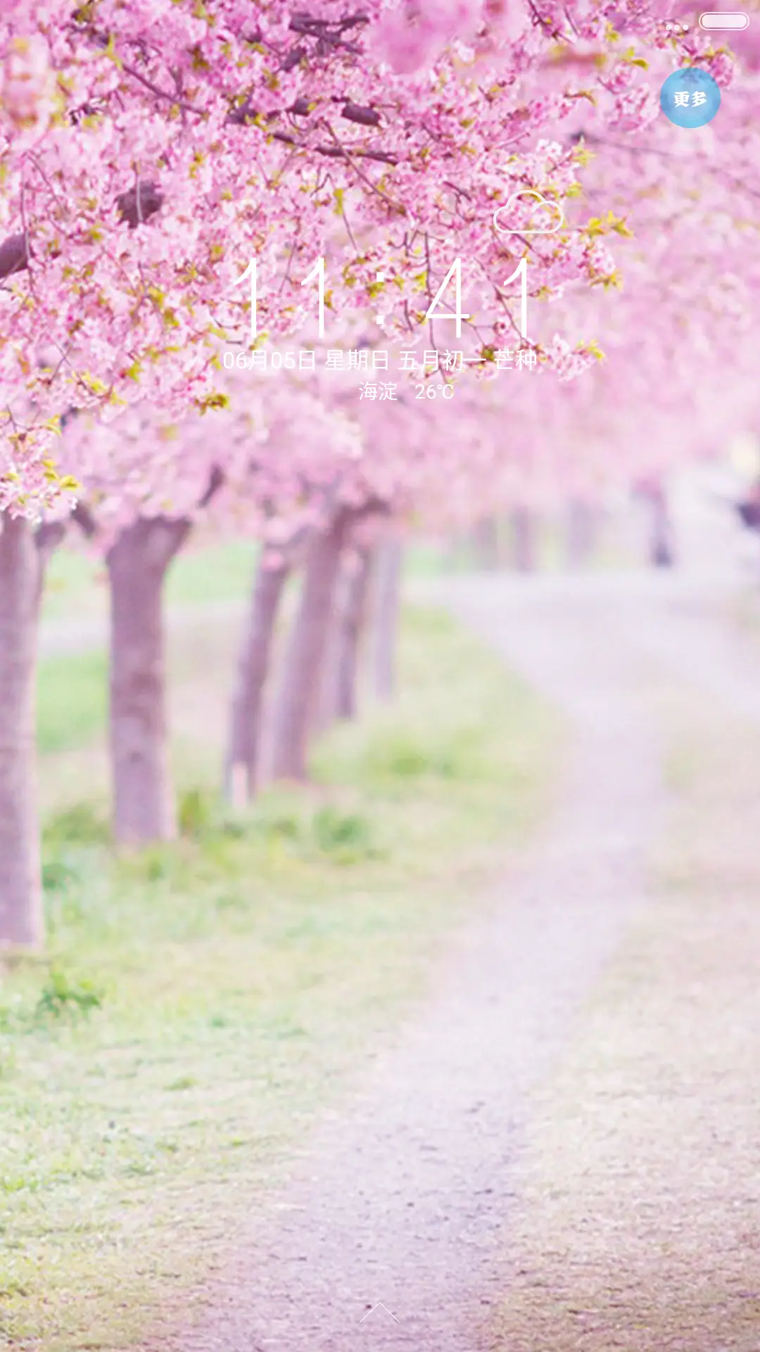 3D 樱花小路+你的最爱