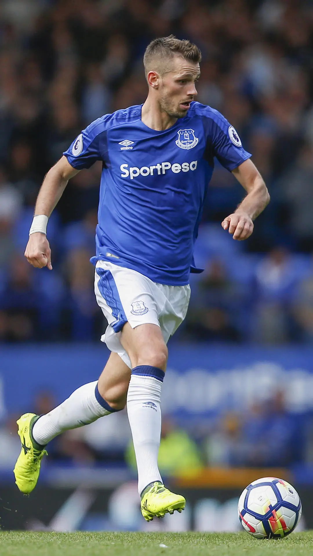 太妃糖兽腰施奈德林