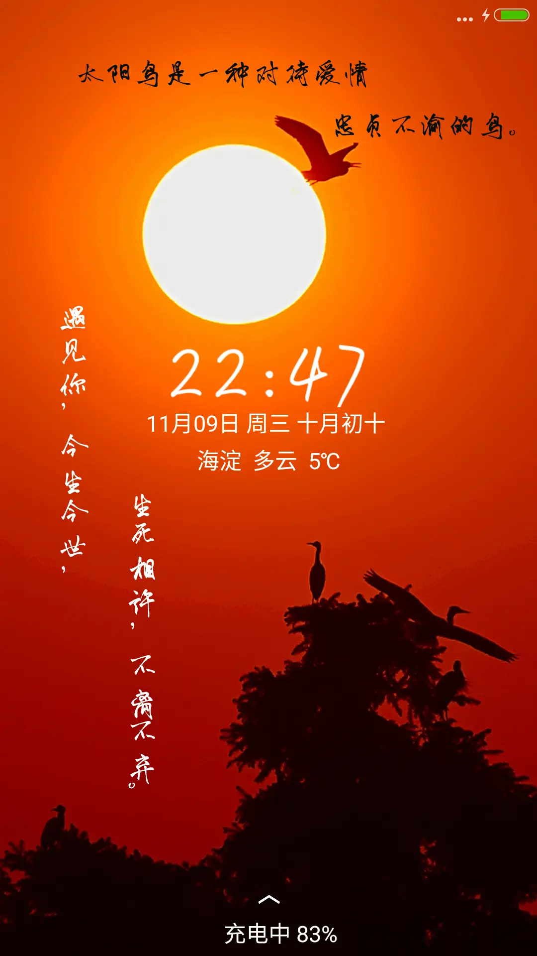 V8【雨滴、气泡特效】爱情鸟