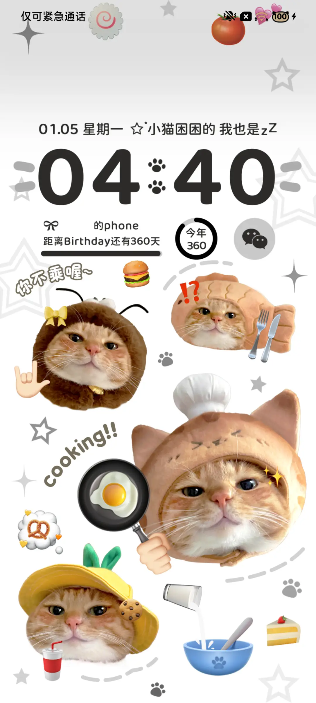 ins可爱猫饼换图