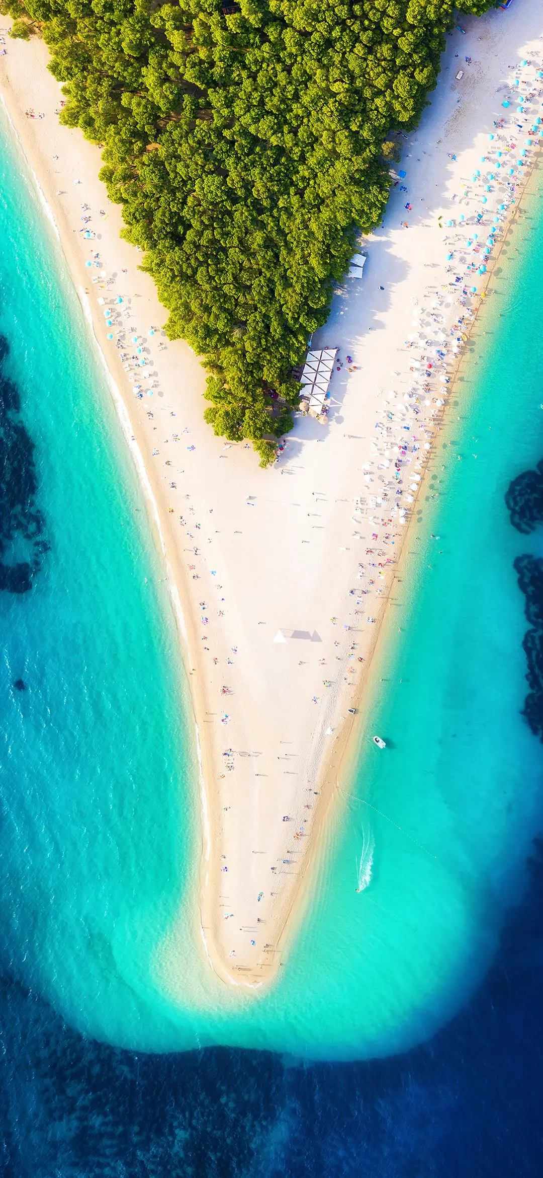 面朝大海-拍信图库