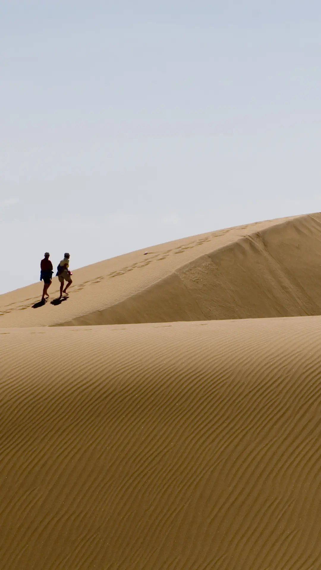 沙漠之旅-拍信图库