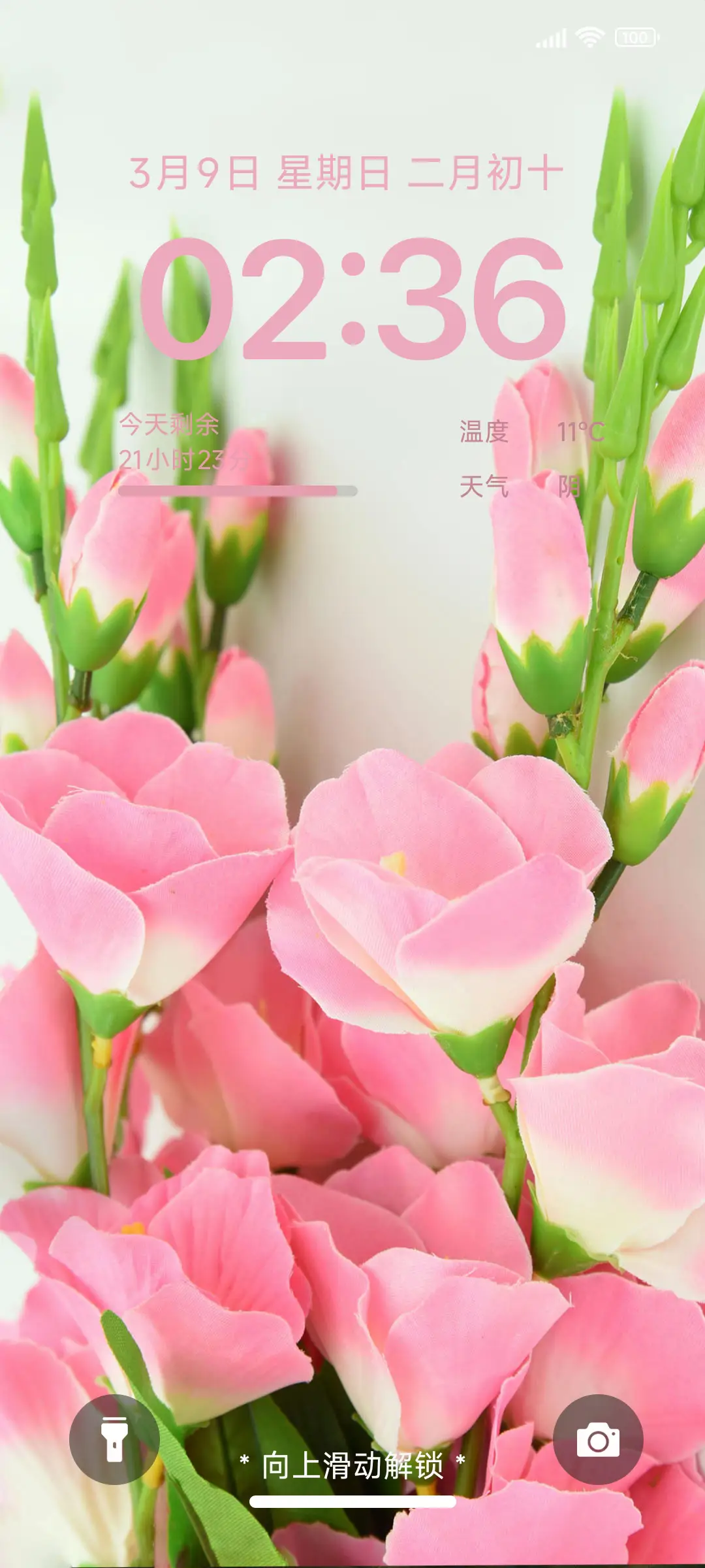 护眼ins花季