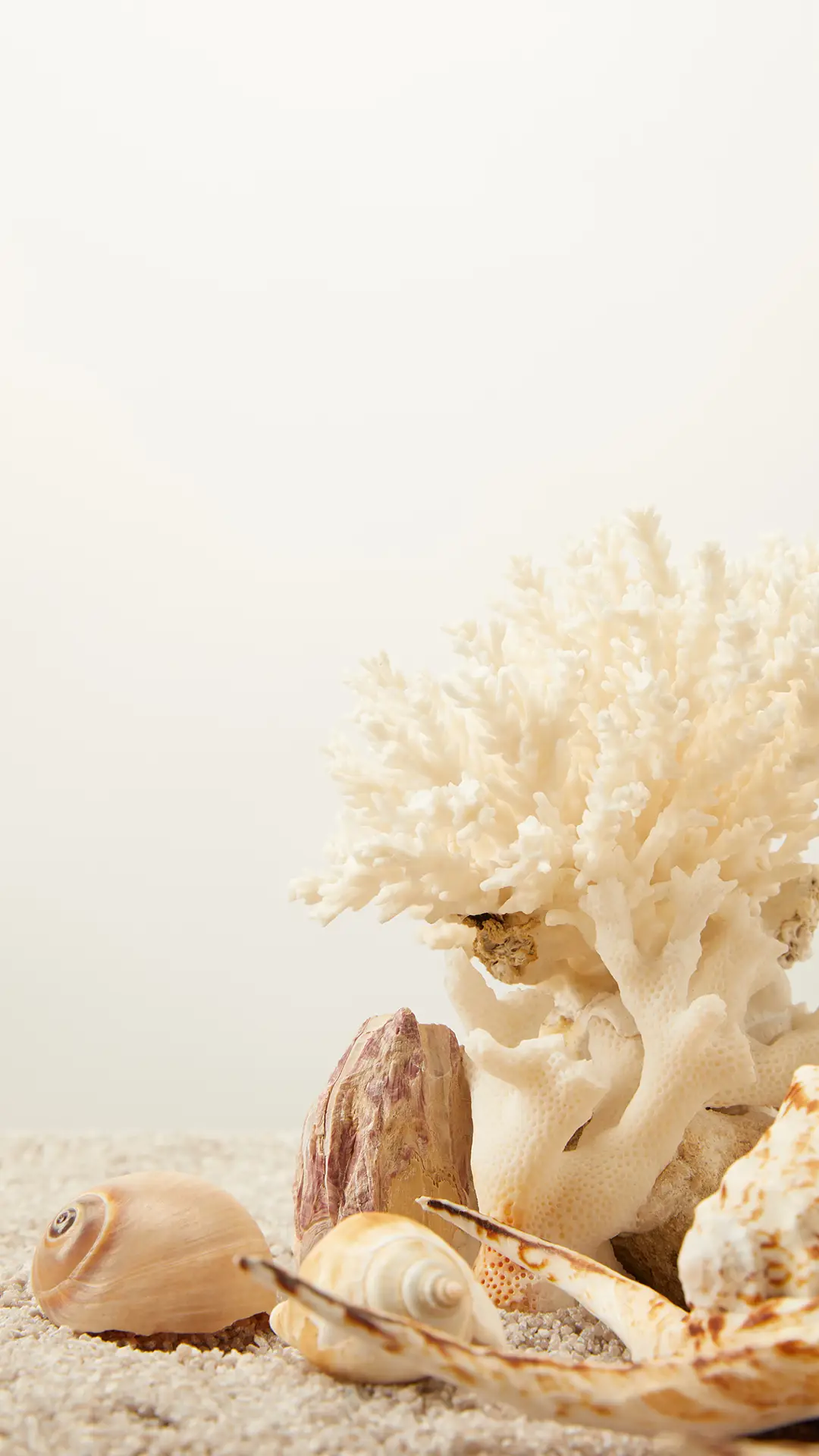 沙滩静物-锐景创意 - Screenshot 1