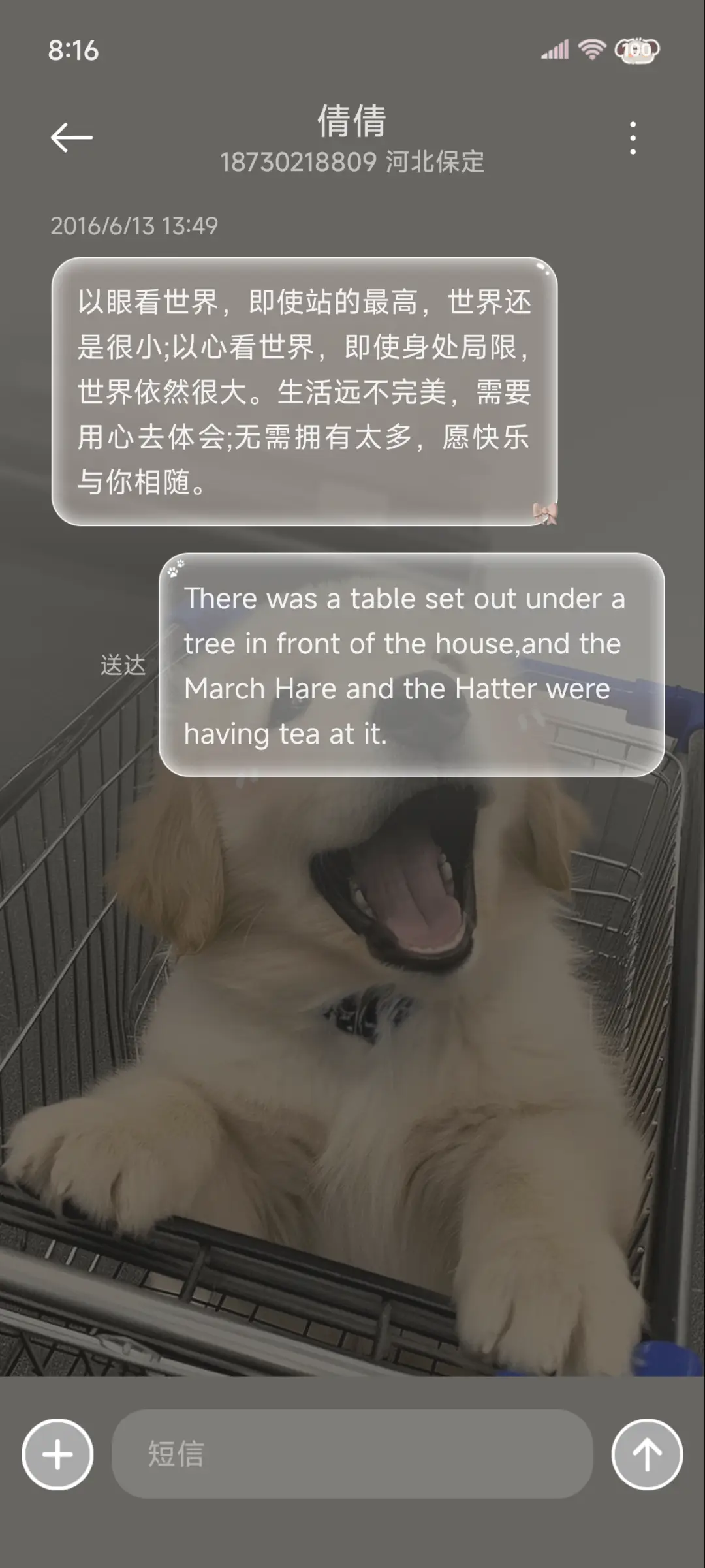 ins快乐购物小狗 - Screenshot 8