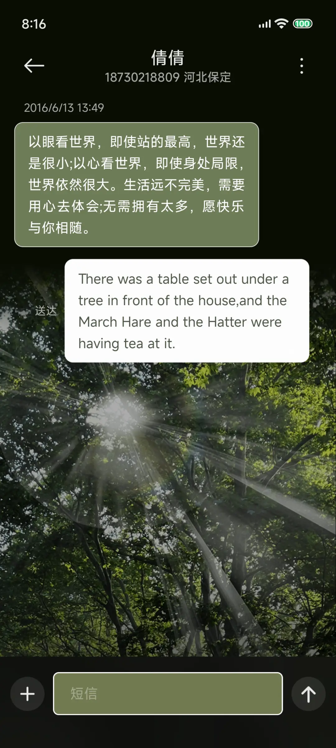 丁达尔效应 树荫 - Screenshot 12