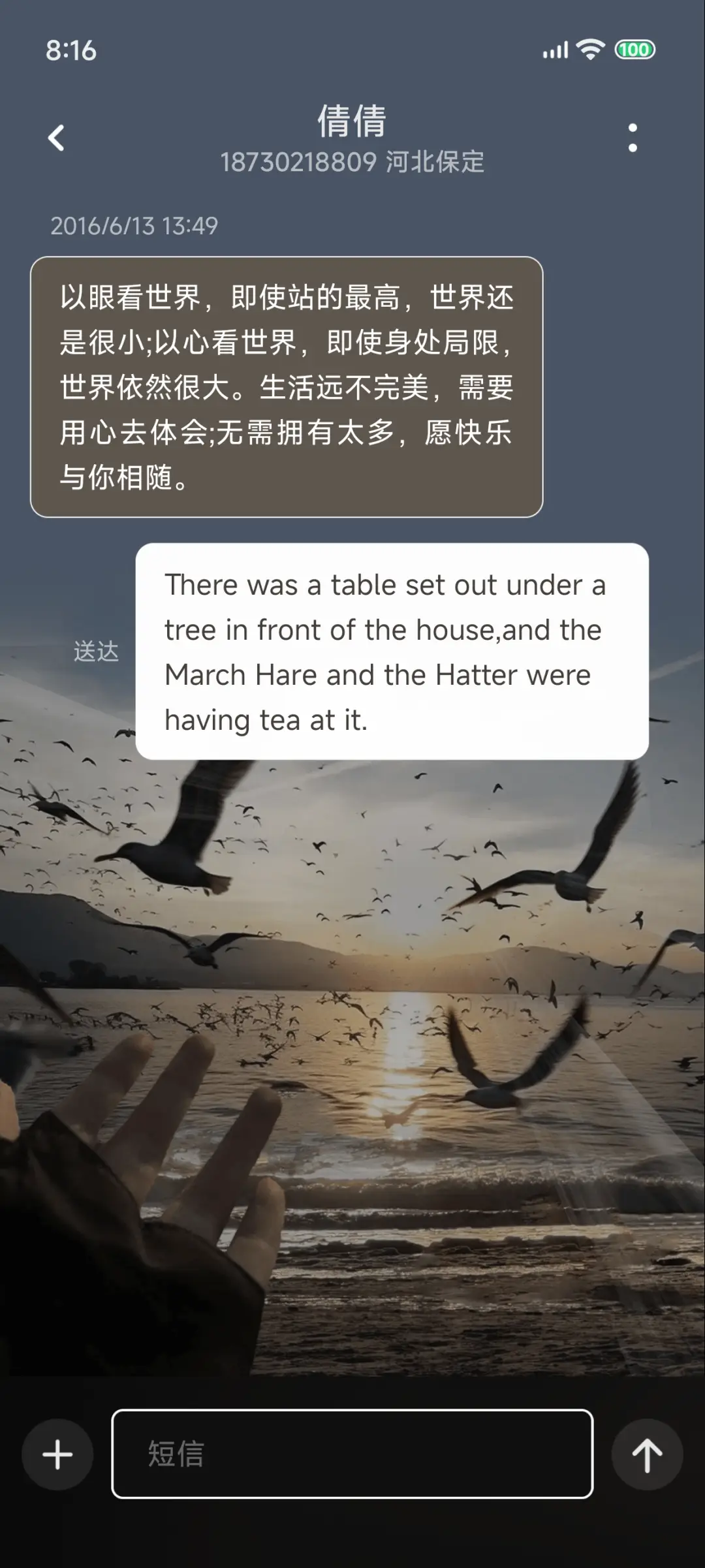 Pro 海鸥与日落 - Screenshot 12