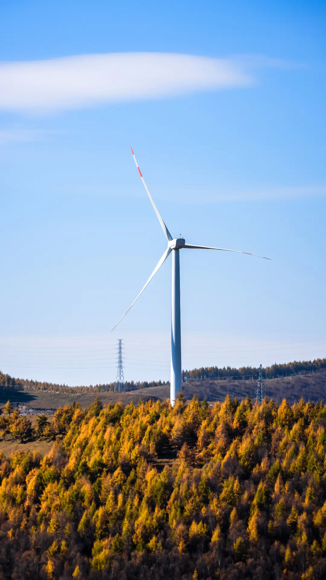 最有春节“年味儿”的小城