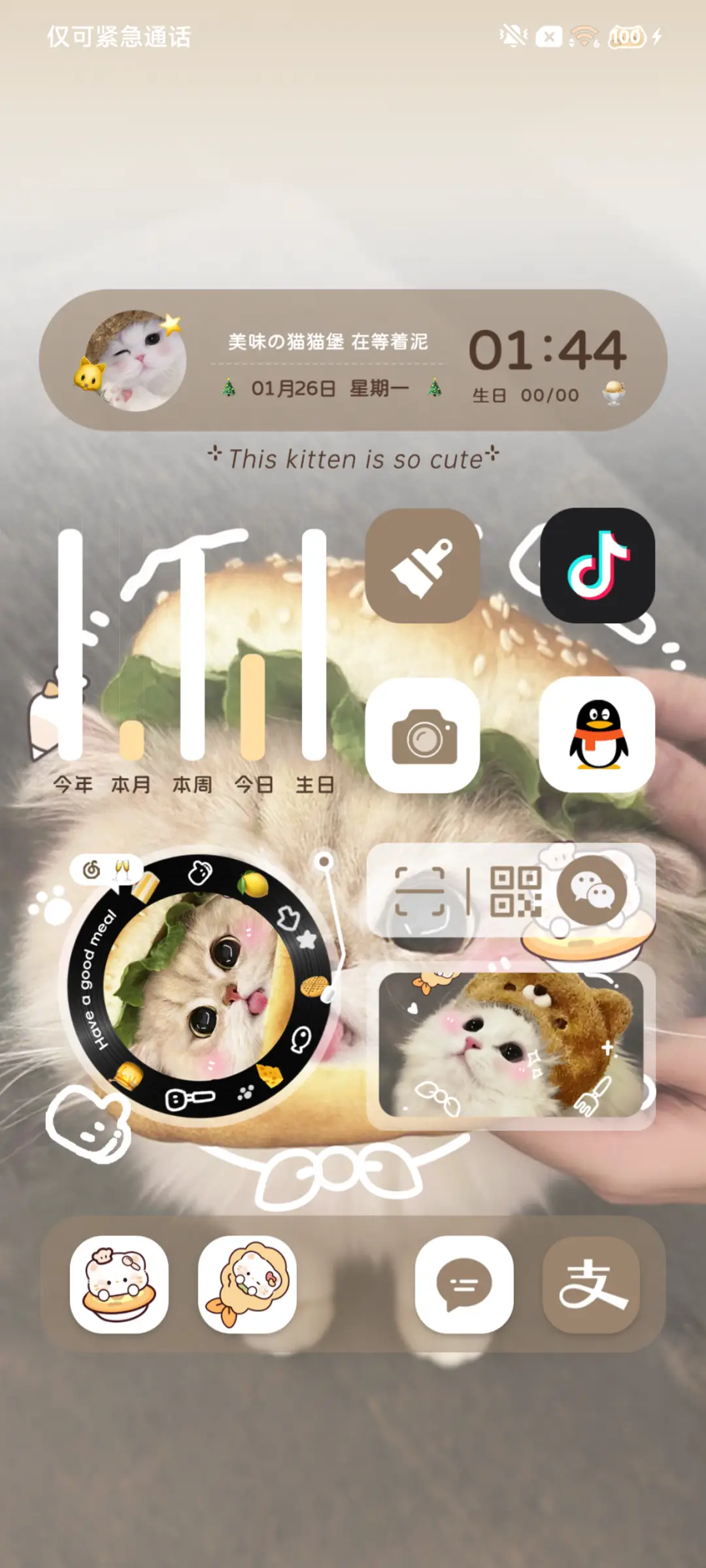 ins可爱汉堡小猫 - Screenshot 3