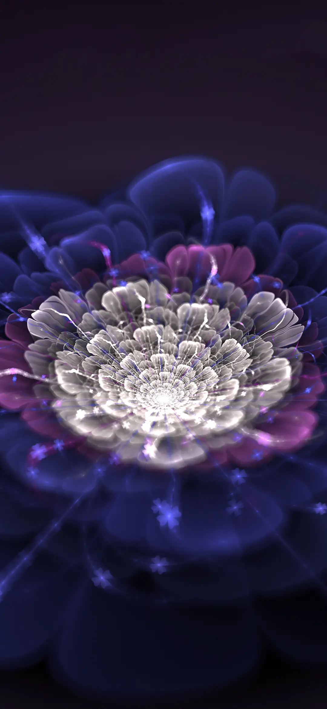 创意花朵壁纸-锐景创意 - Screenshot 1