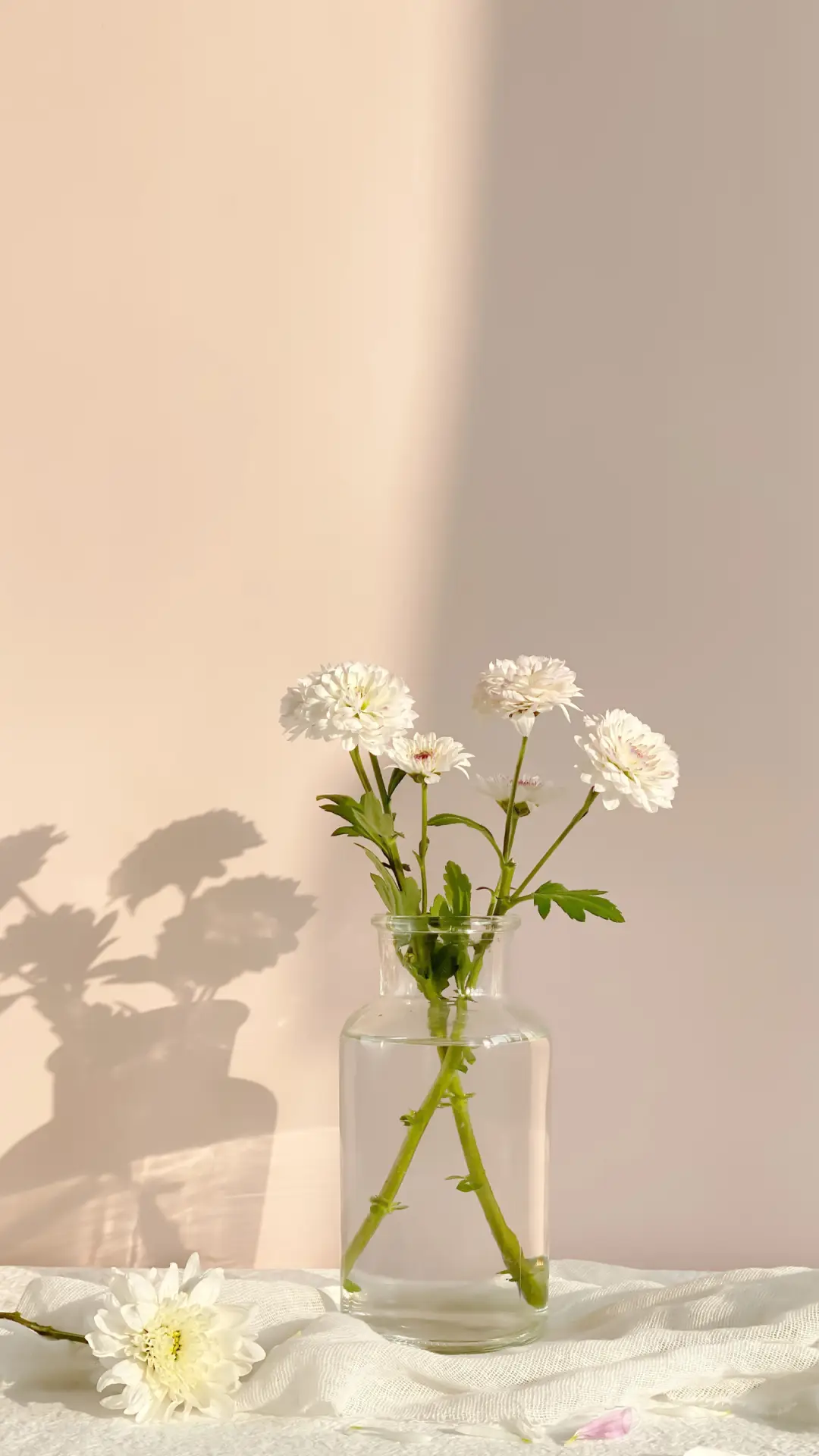 鲜花与生活的联系