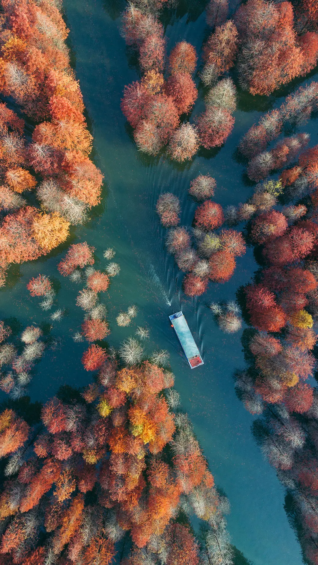 魅力安徽省 - Screenshot 1