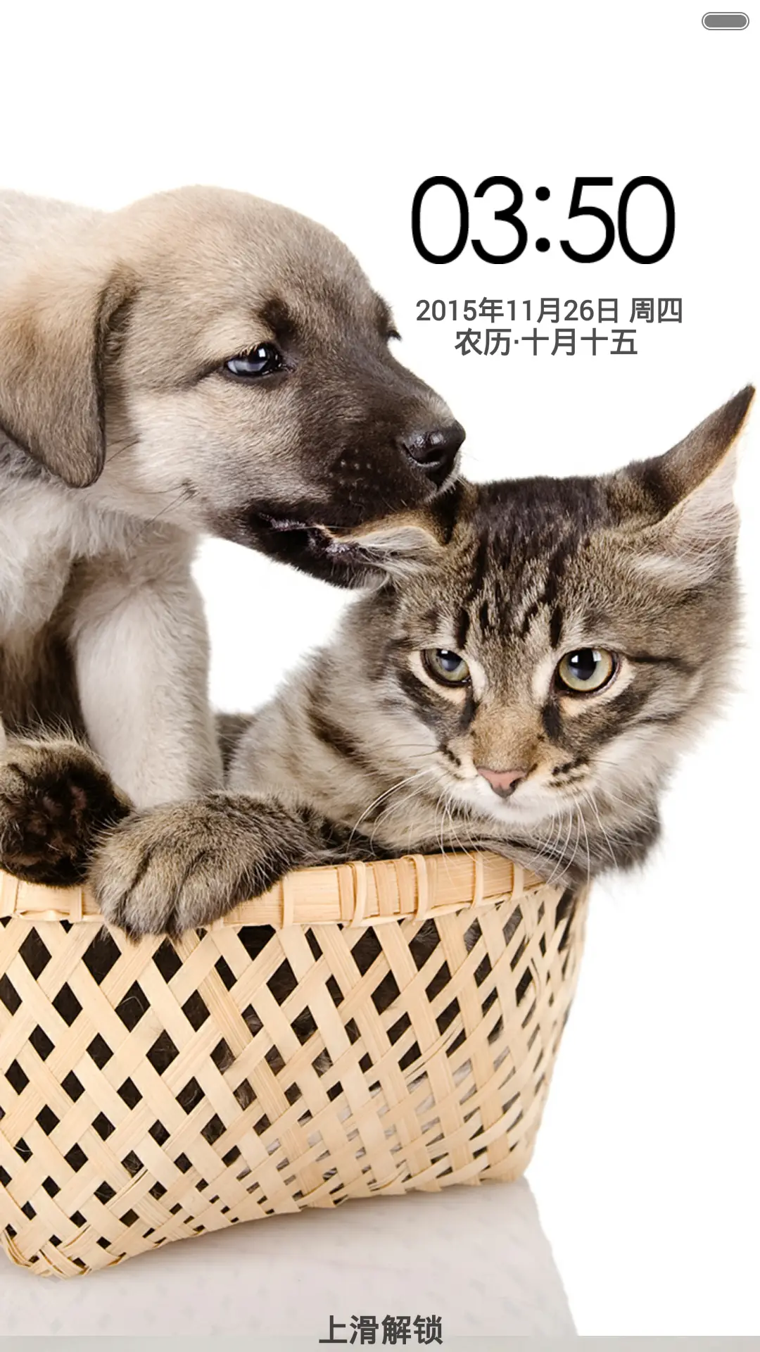 喵星人(音乐锁屏)