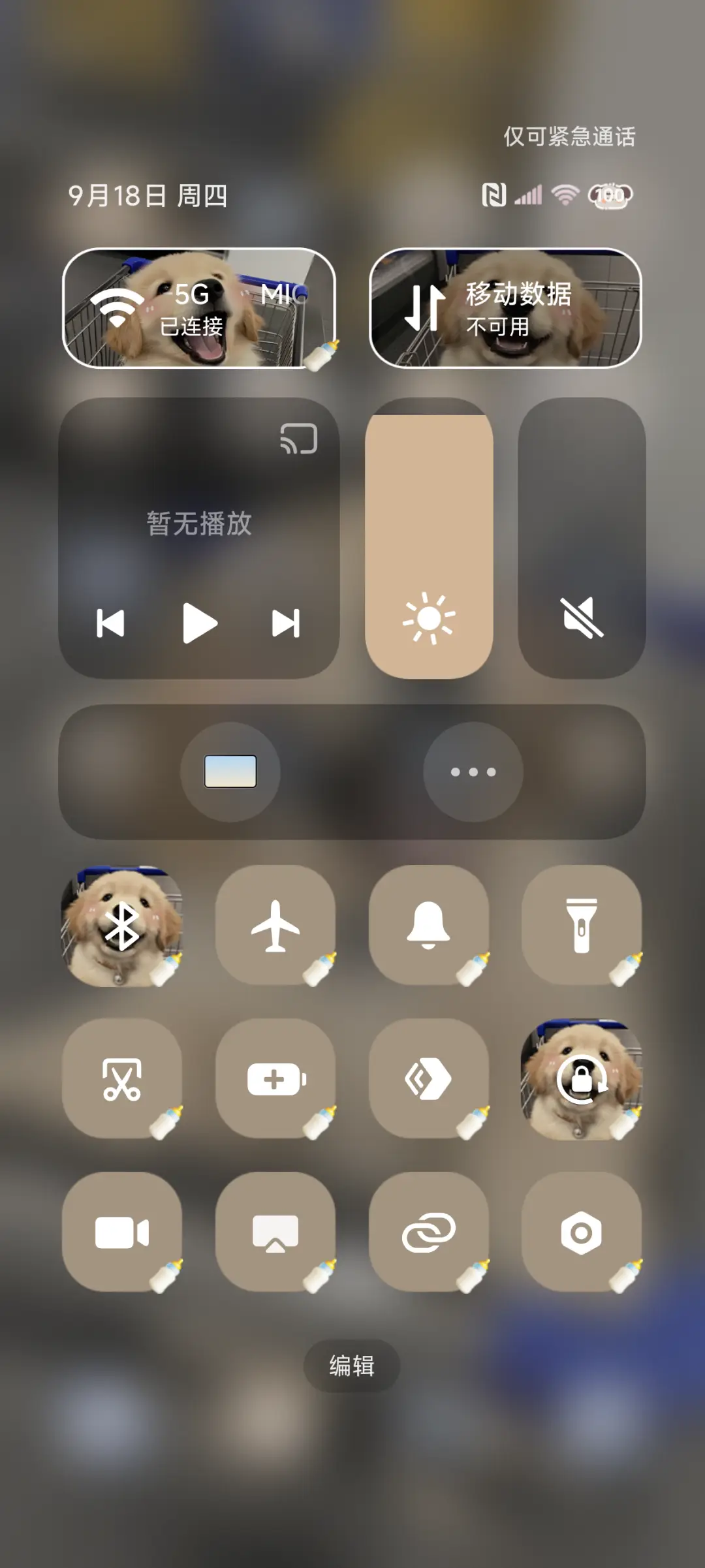 ins快乐购物小狗 - Screenshot 5