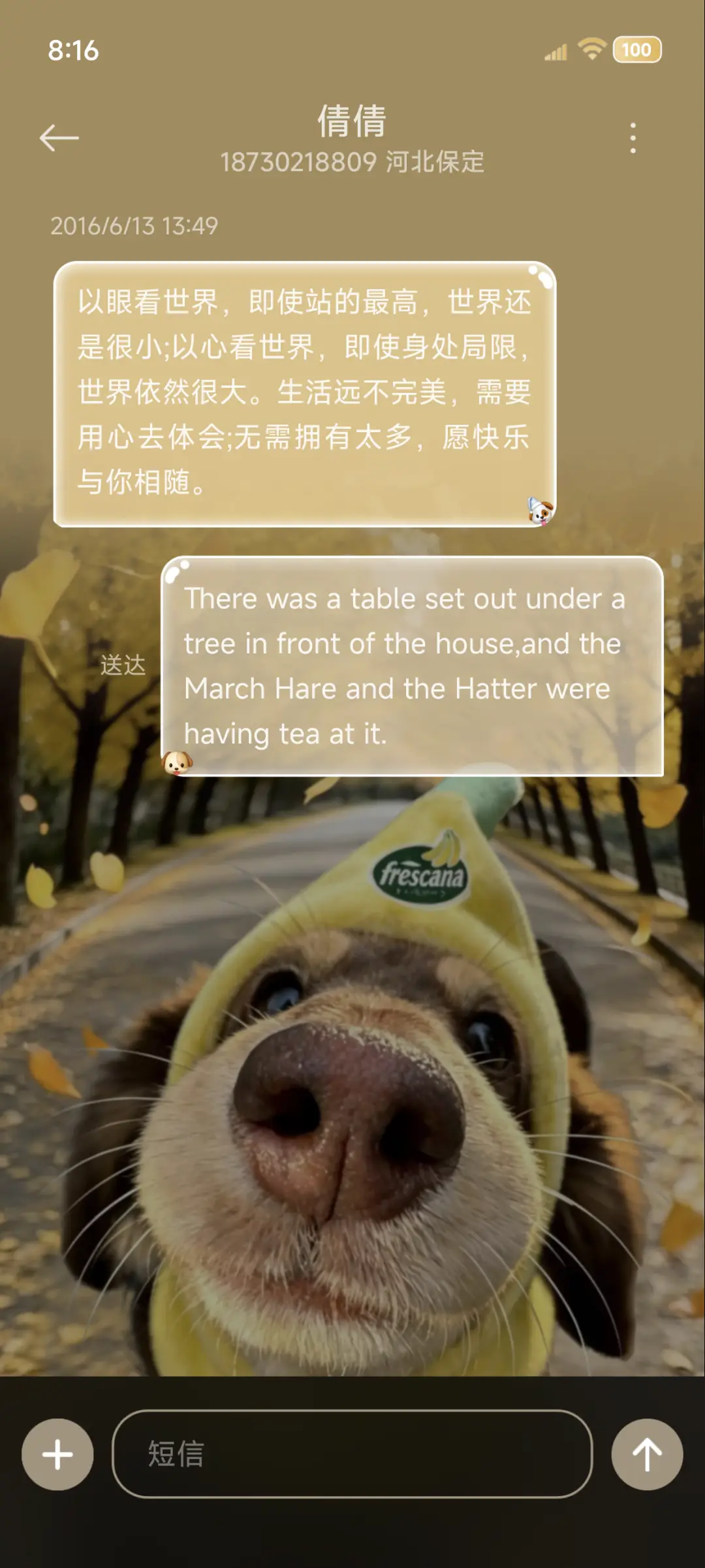 鱼眼景深Hello小狗 - Screenshot 8