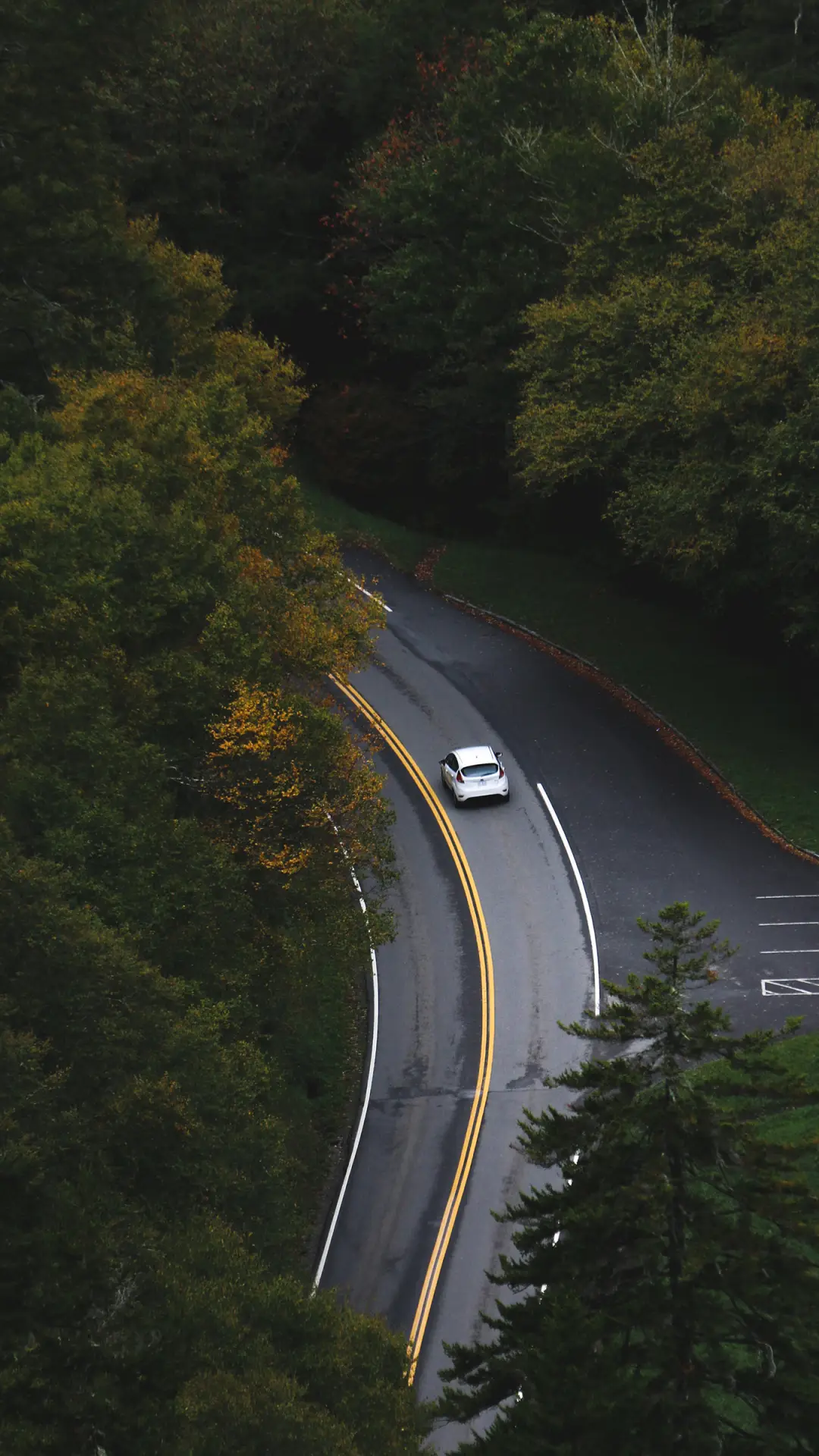 自由自在不是奢侈