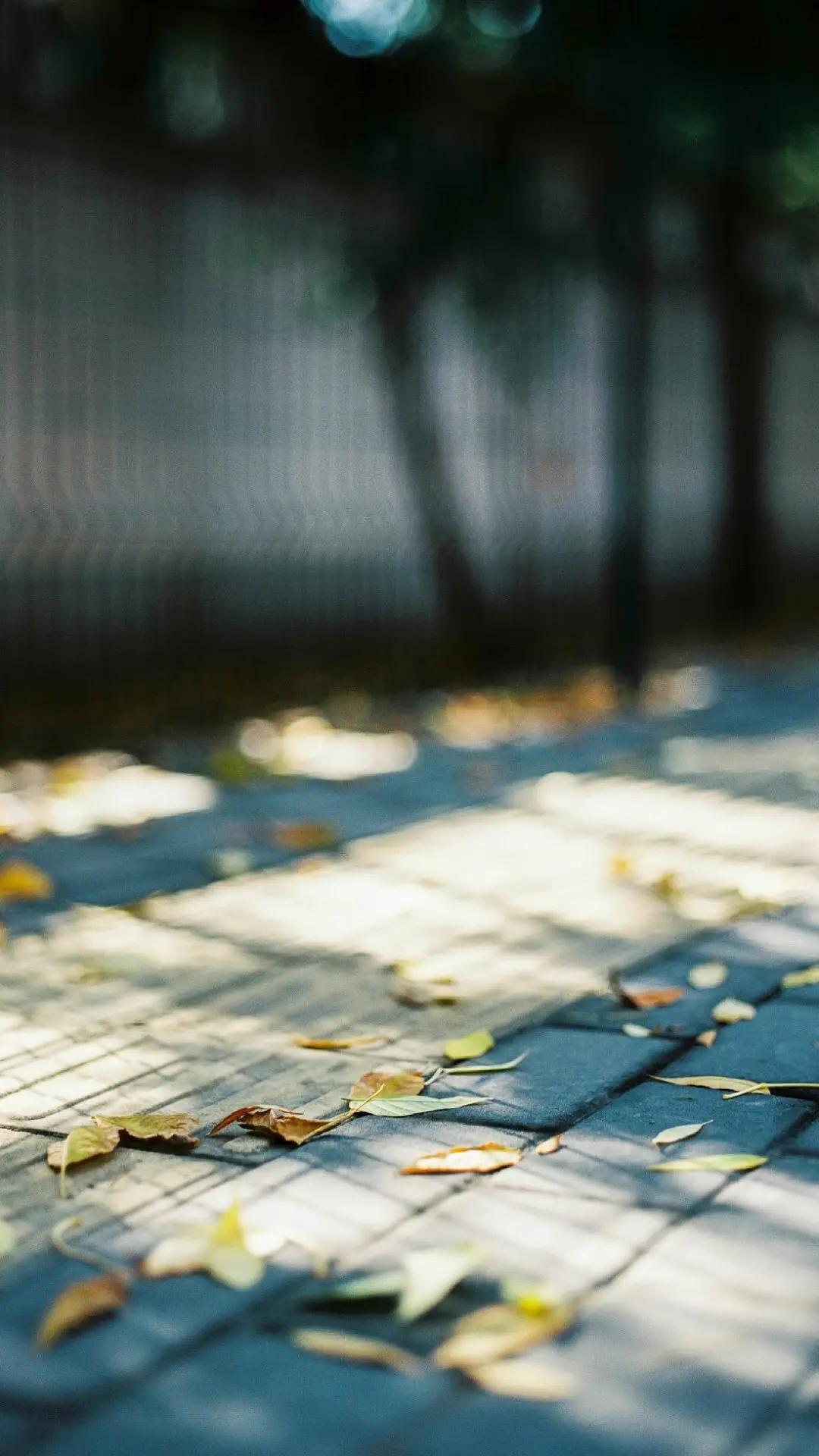 日式胶片 - Screenshot 1