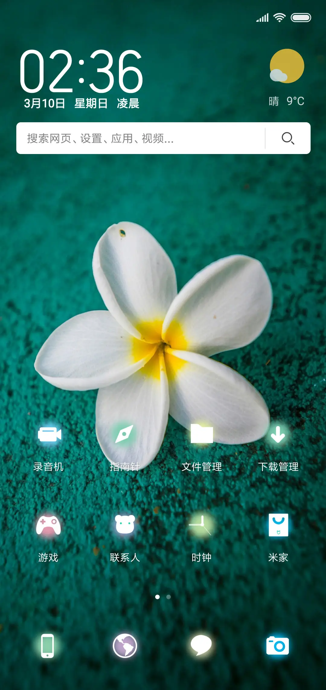 无叶花 - Screenshot 2