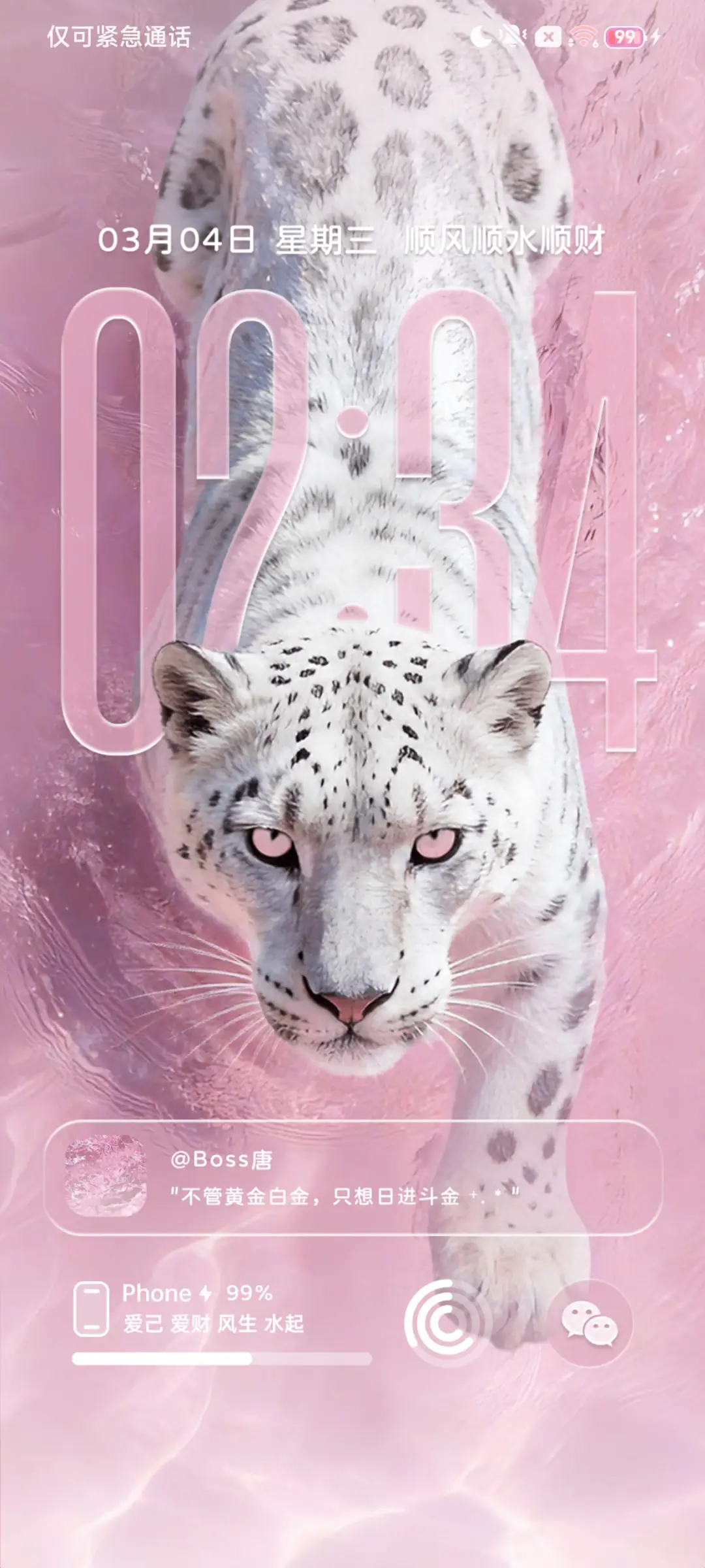 豹富 流水生财 THEME for Xiaomi MIUI HyperOS