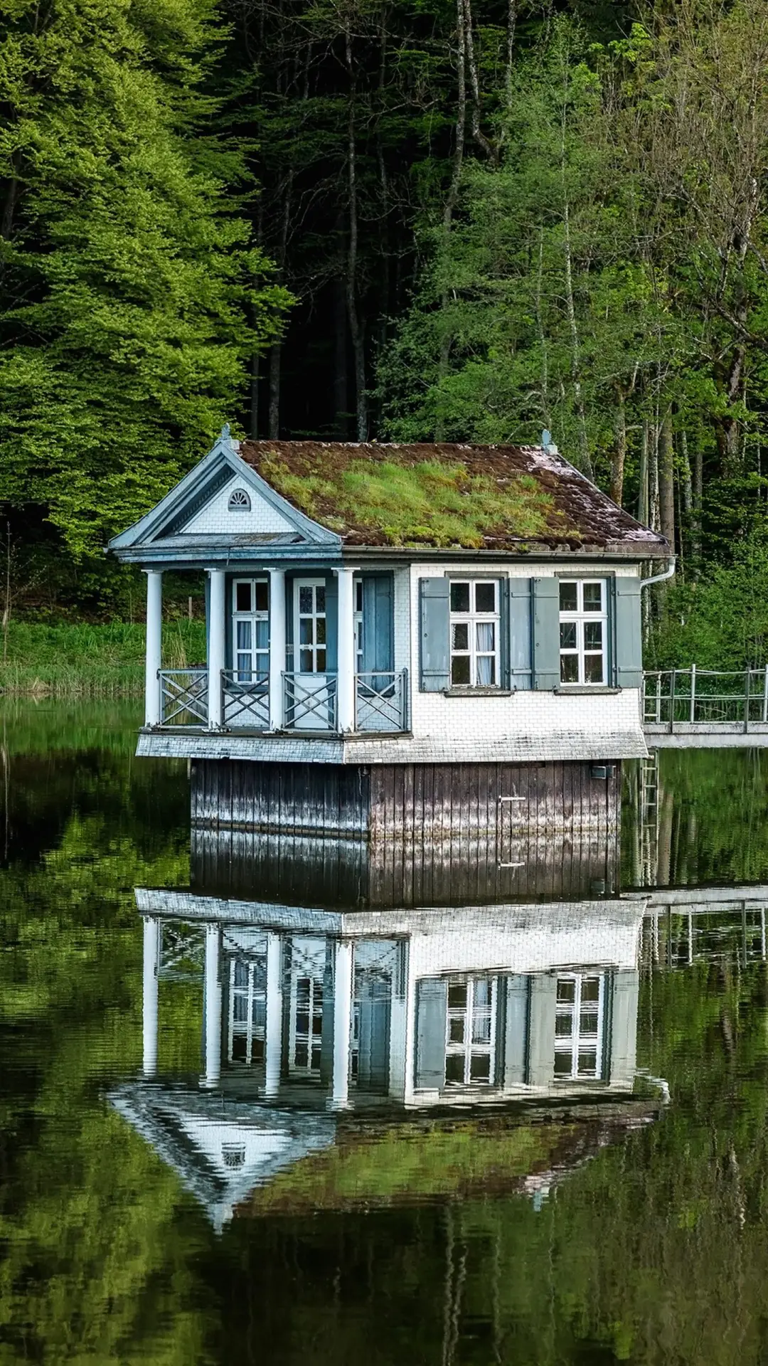 与世隔绝的治愈系木屋