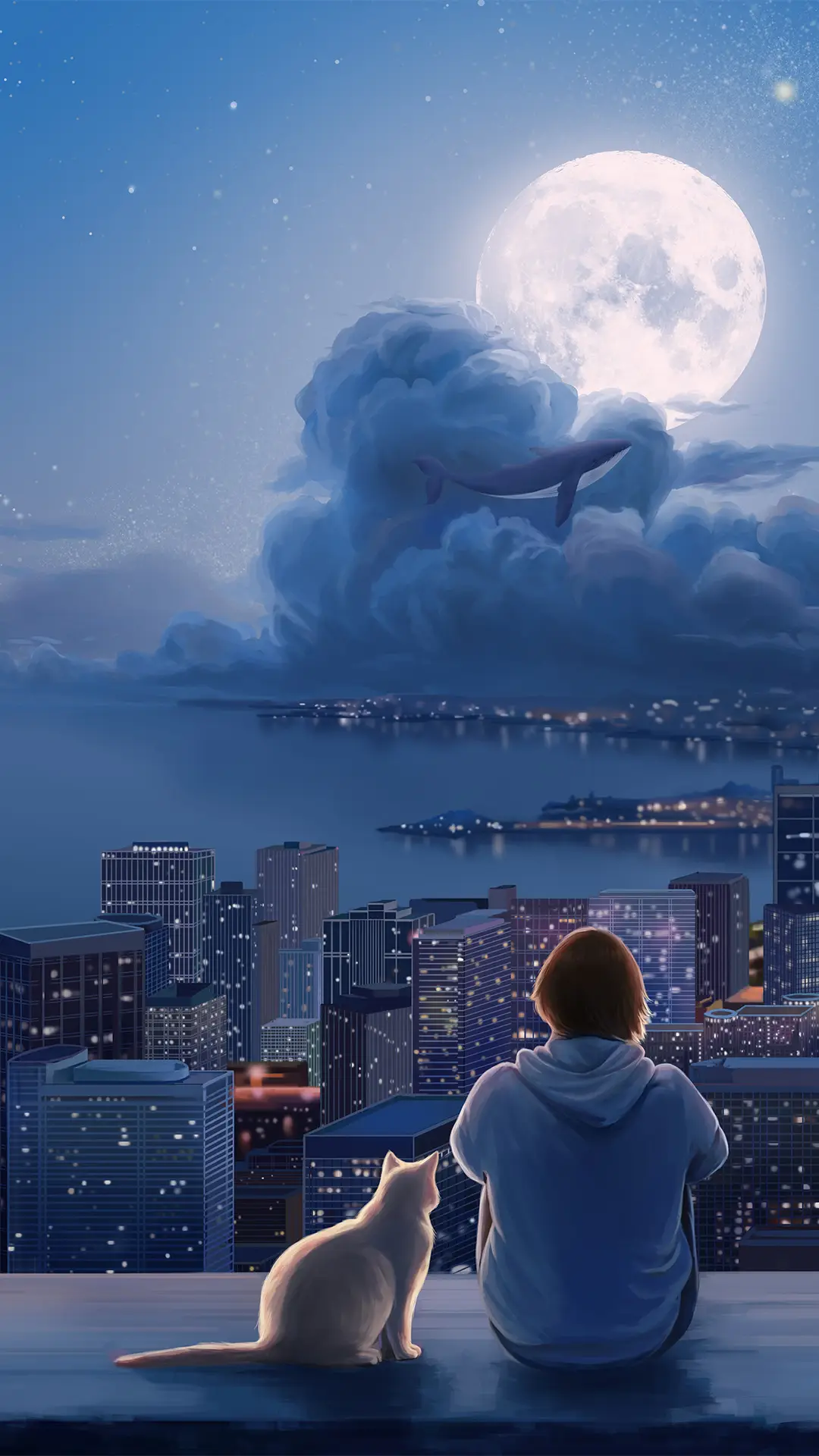 女孩和猫的友谊