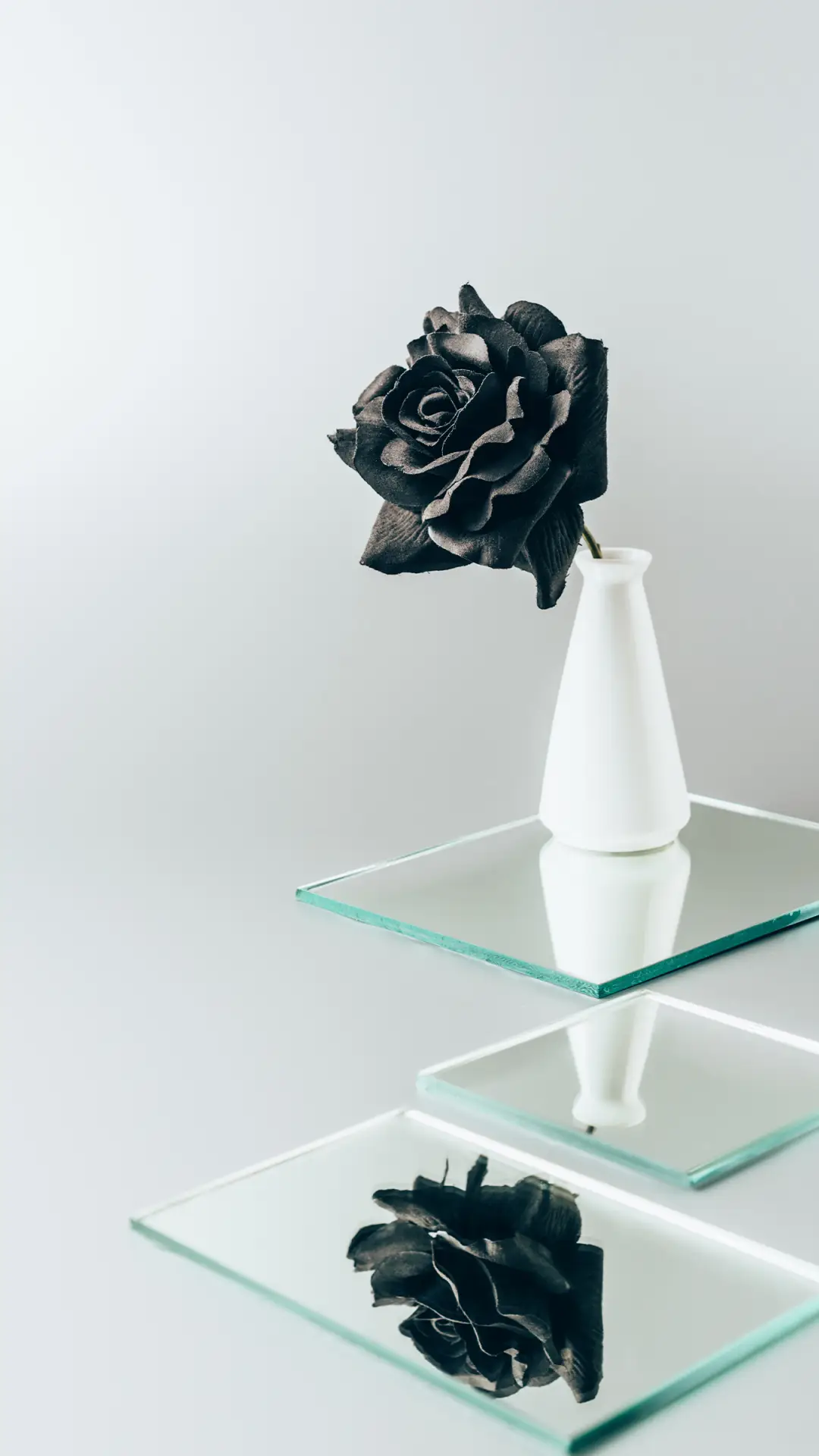 美丽的花朵-拍信图库 - Screenshot 1