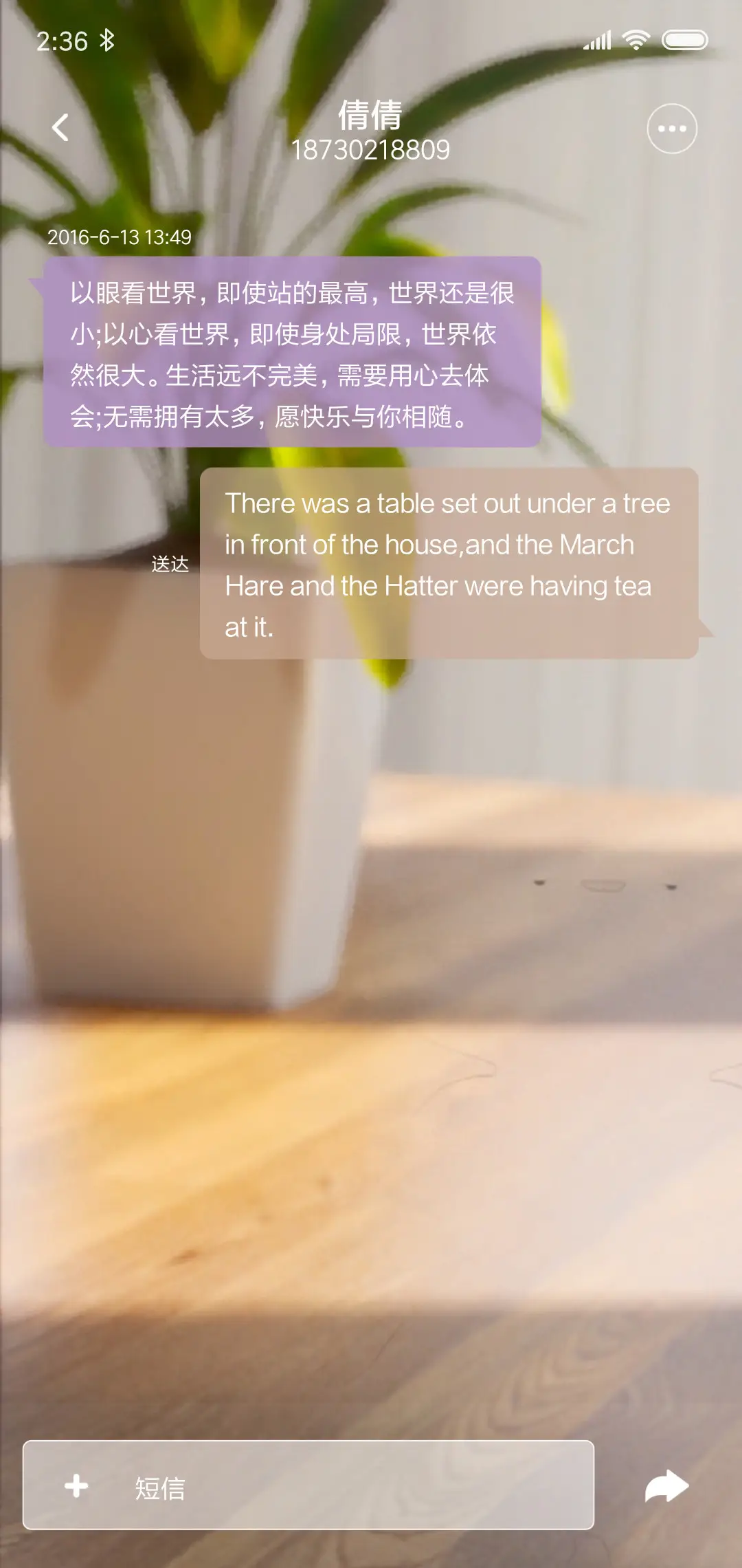 哄哄我吧皮皮熊特效 - Screenshot 8