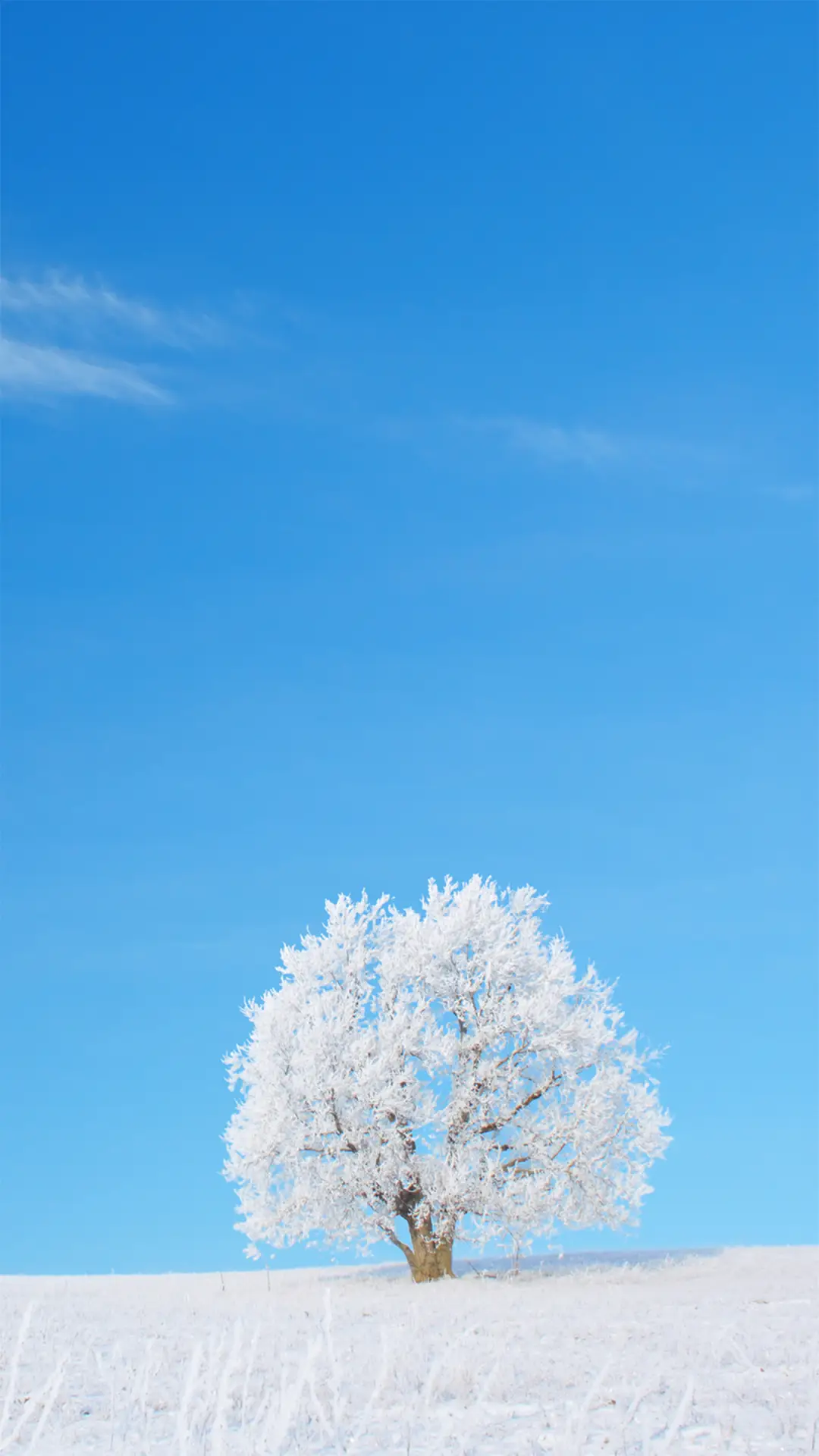 冬雪世界-拍信图库 - Screenshot 1