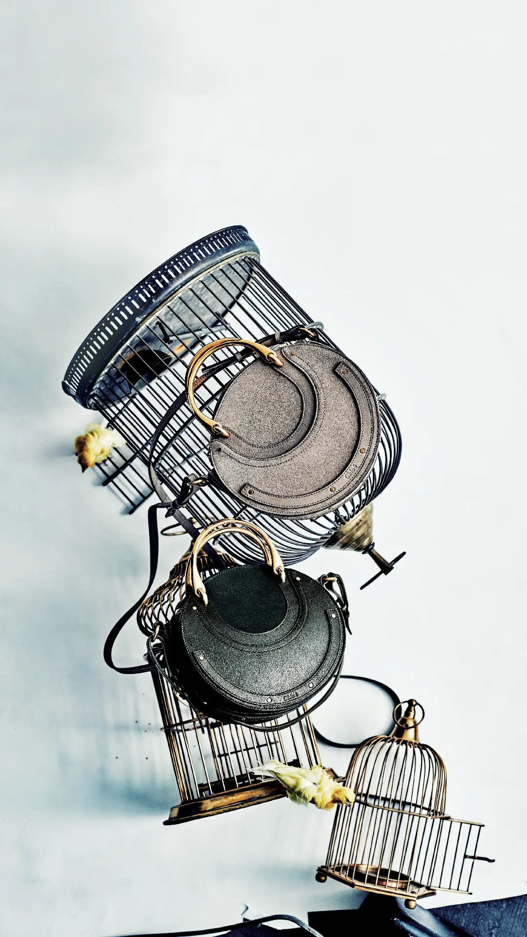 鸟语“包”香 - Screenshot 1