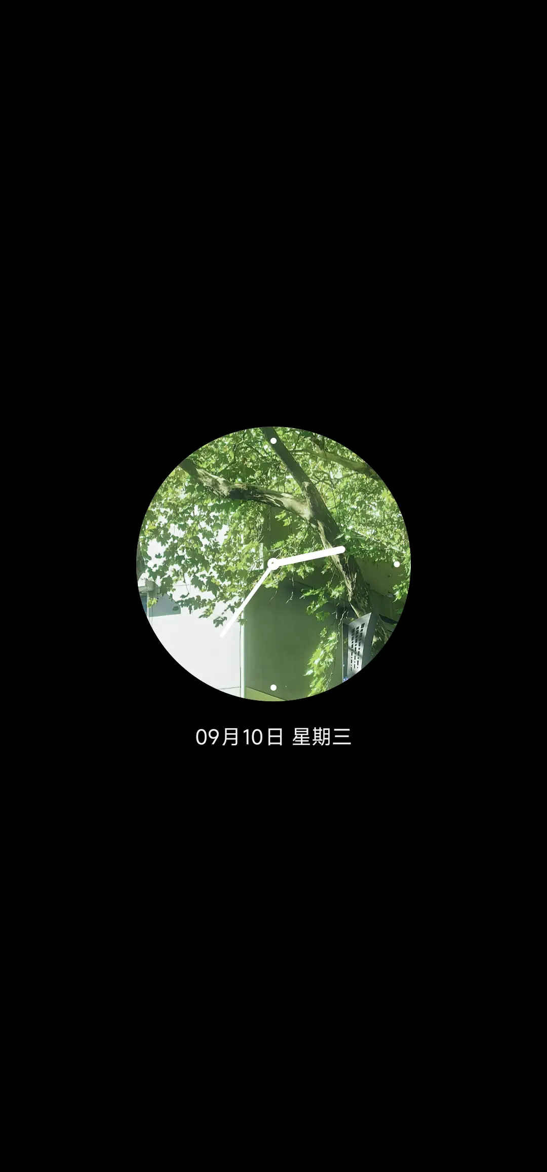 OS氛围 光穿透绿叶 - Screenshot 1