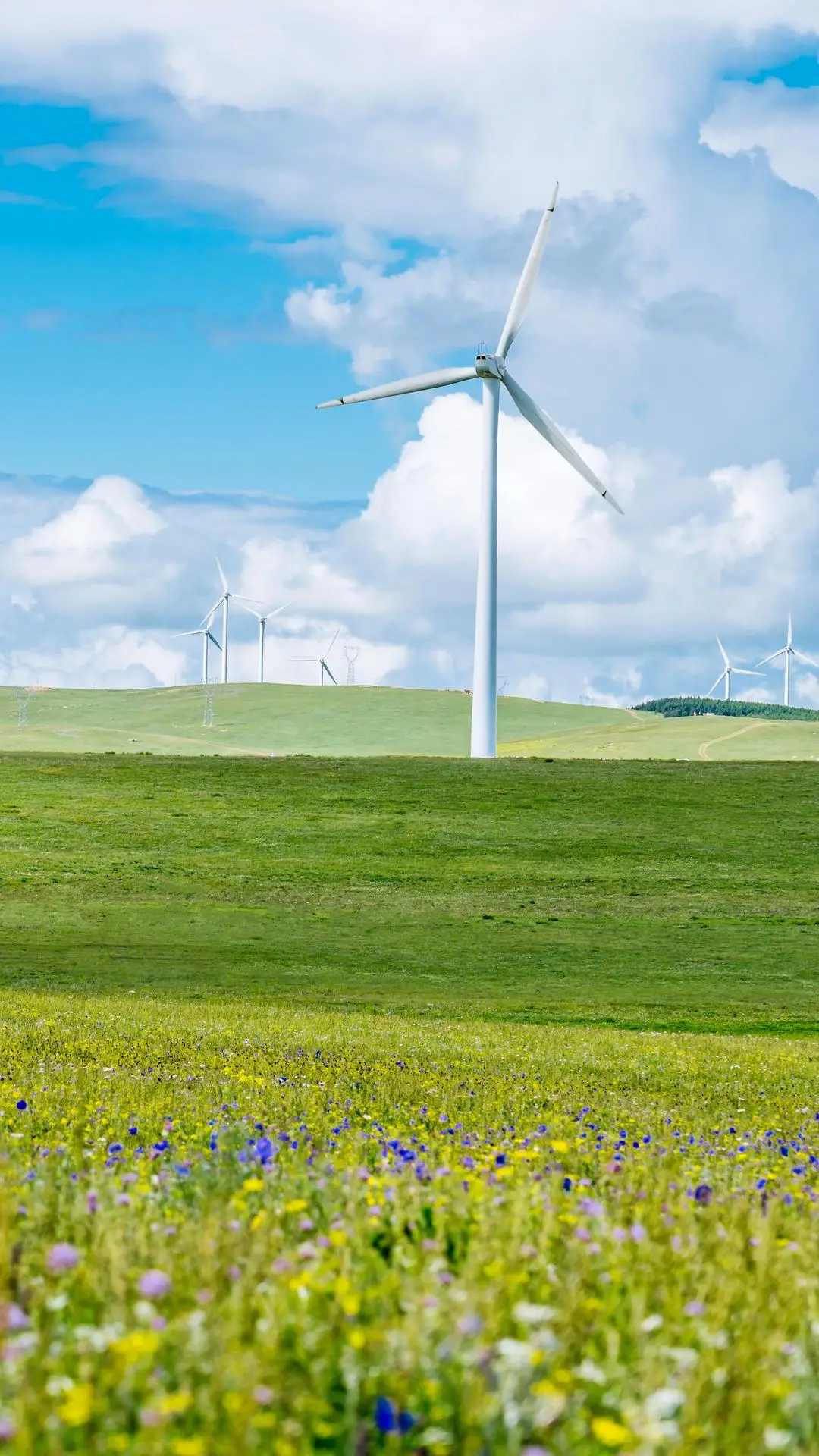 麦田里的守望者 - Screenshot 1