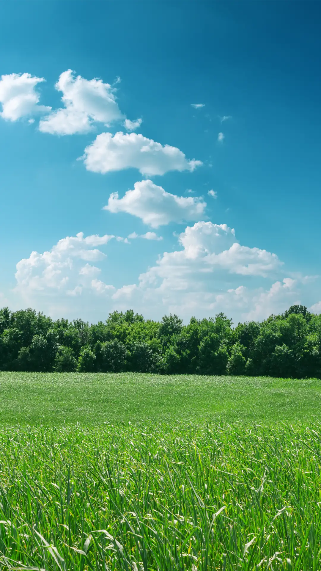 绿草蓝天-拍信图库