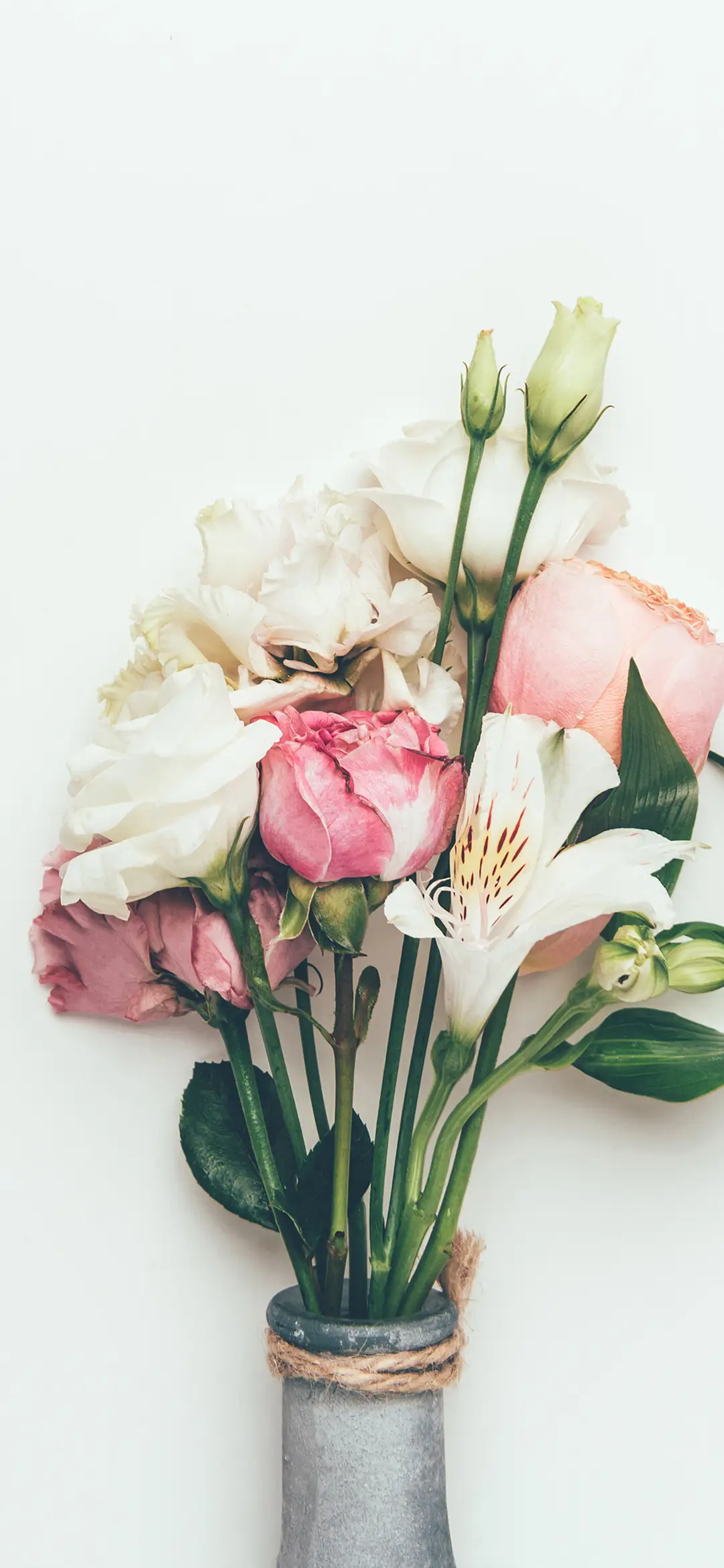 清新控-拍信图库